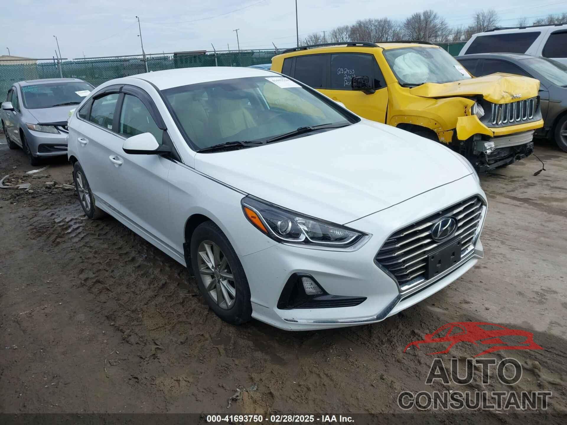 HYUNDAI SONATA 2019 - 5NPE24AFXKH790312