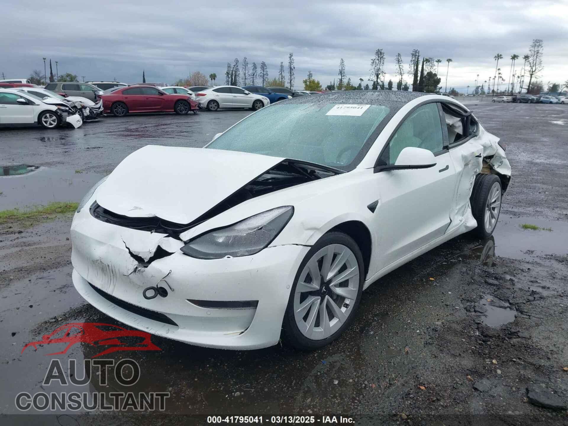 TESLA MODEL 3 2021 - 5YJ3E1EA3MF032180