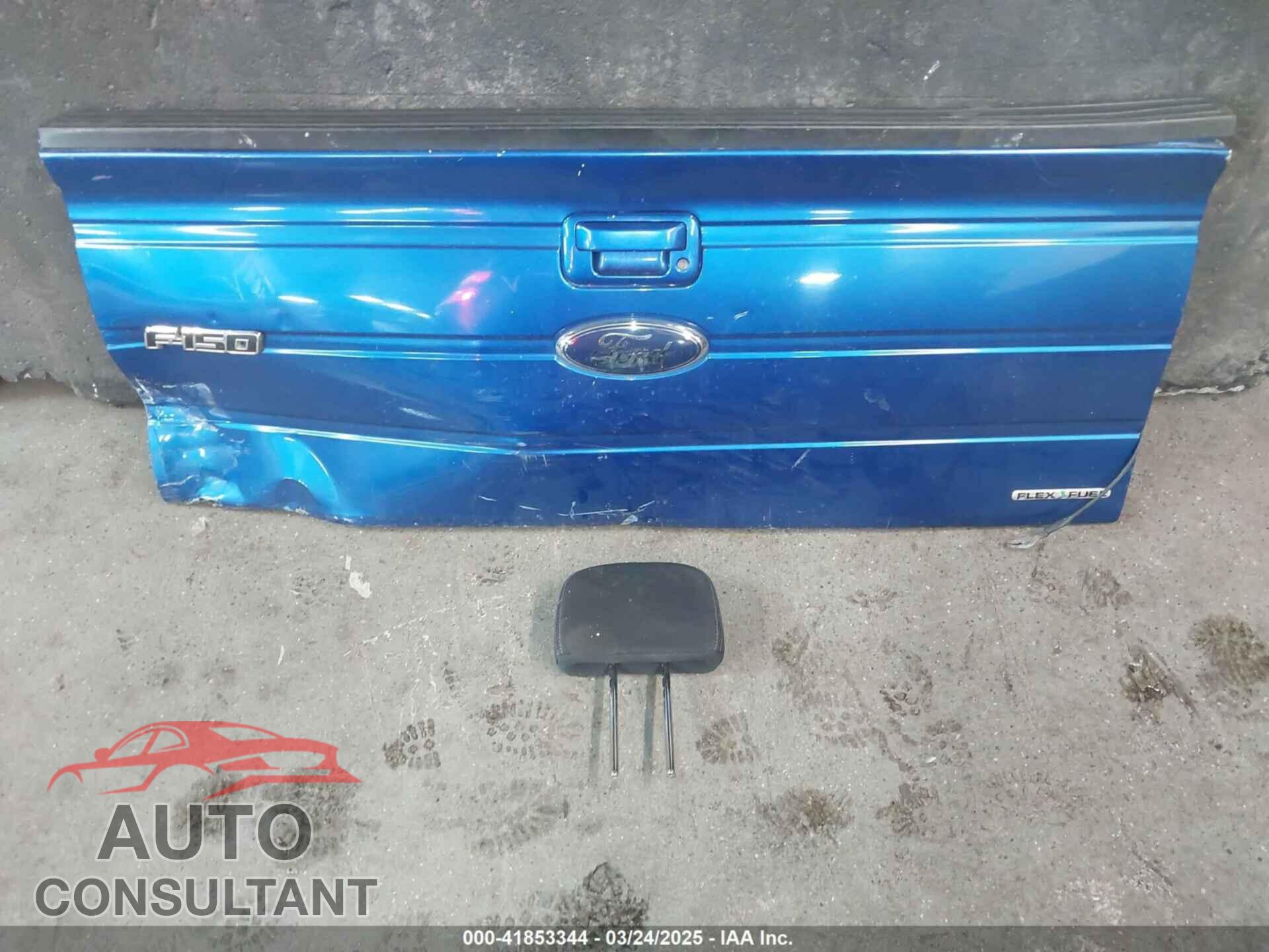 FORD F-150 2011 - 1FTFW1EF9BFA29301