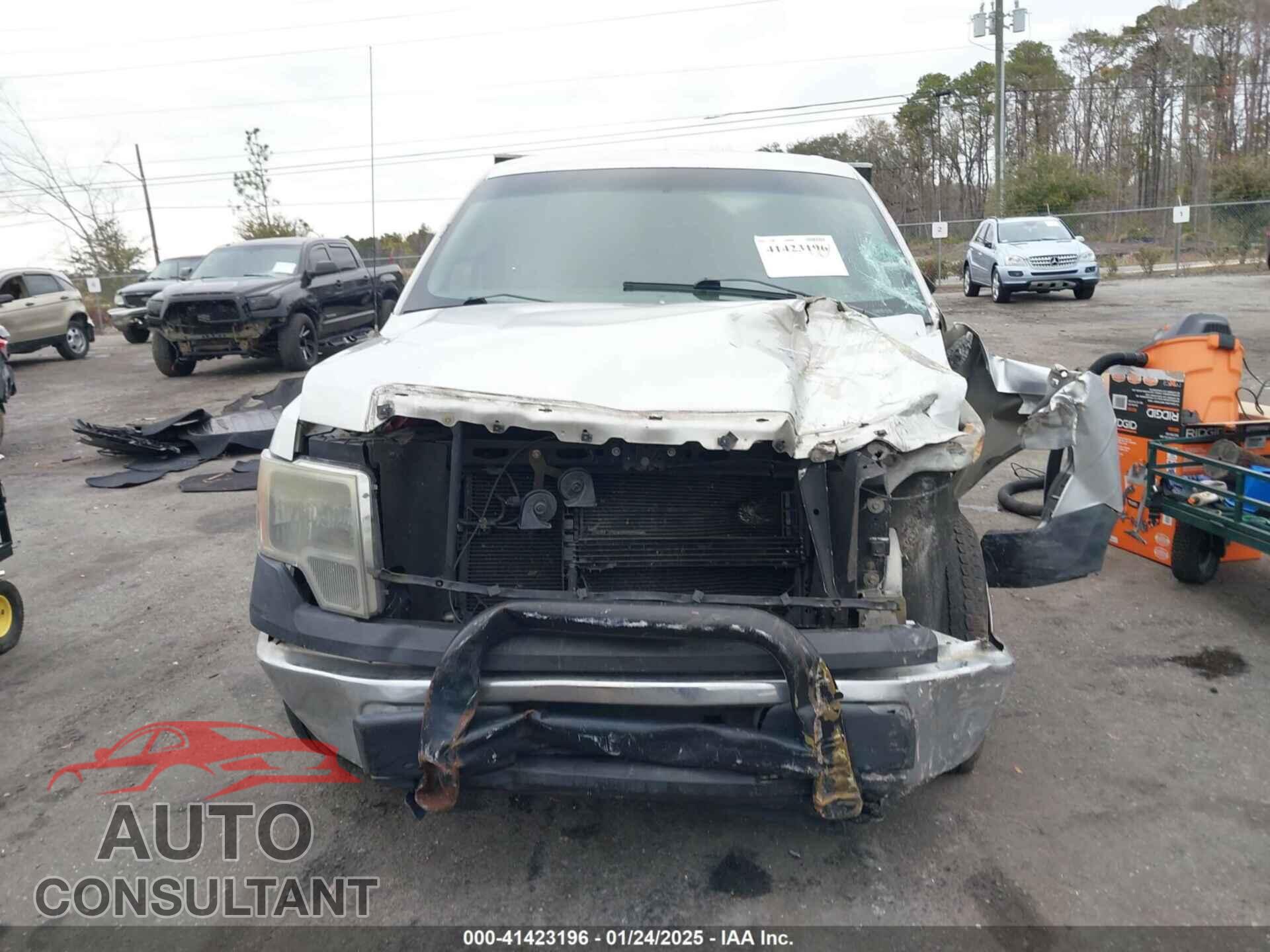 FORD F-150 2011 - 1FTMF1CM6BFC63243