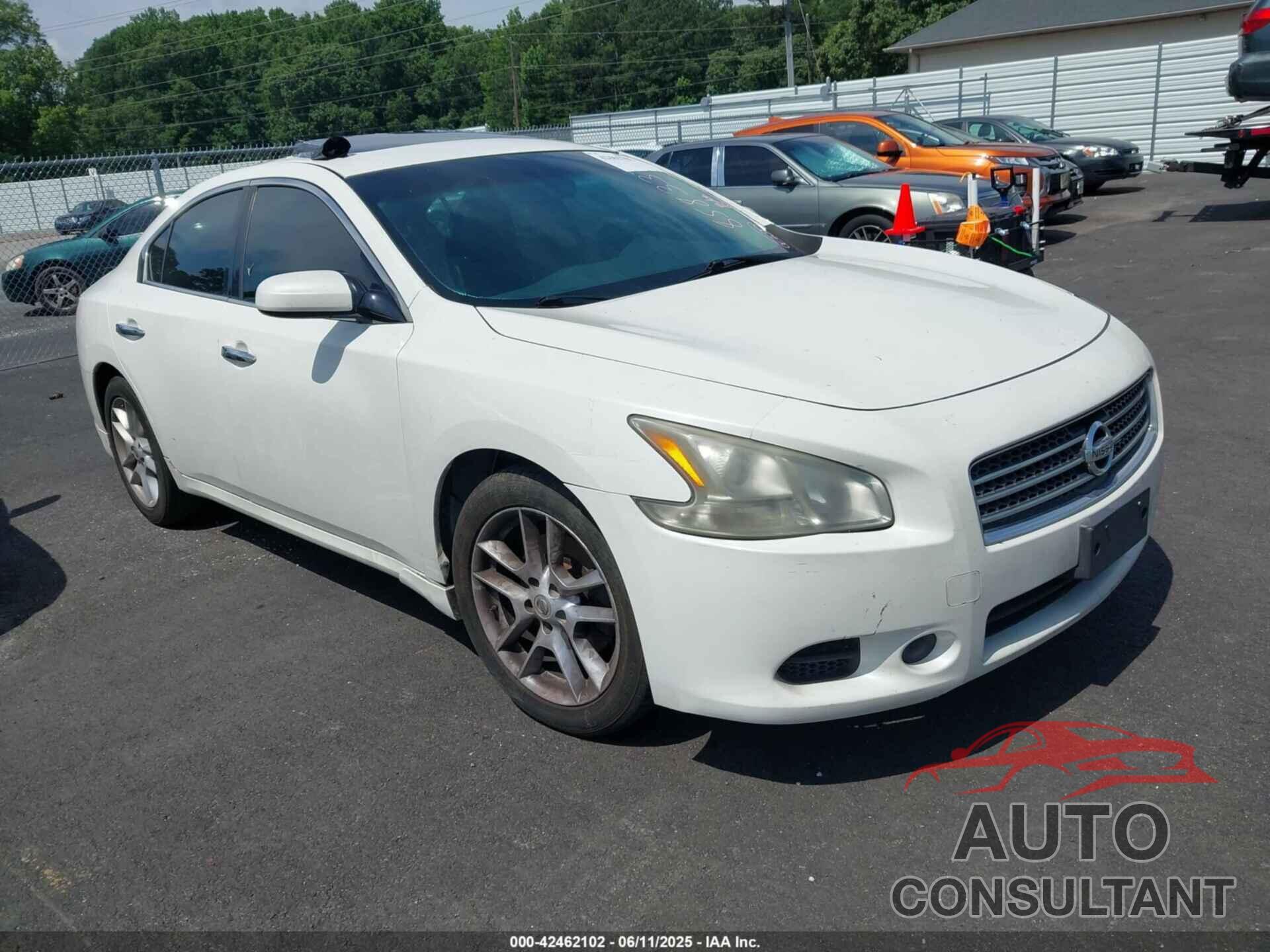 NISSAN MAXIMA 2009 - 1N4AA51E29C858337