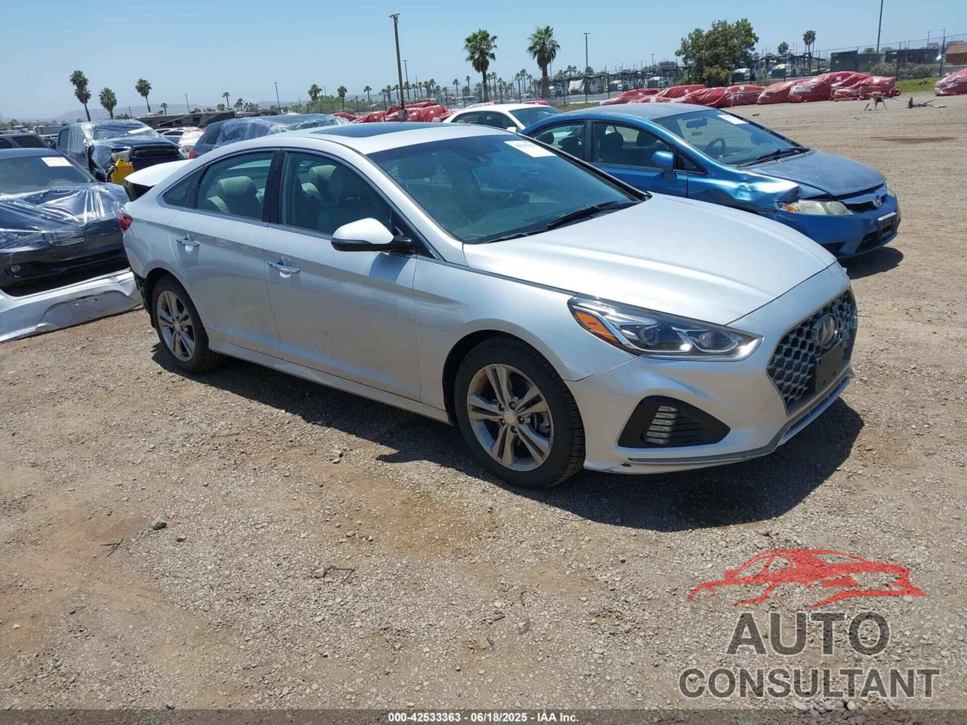 HYUNDAI SONATA 2019 - 5NPE34AF4KH817775