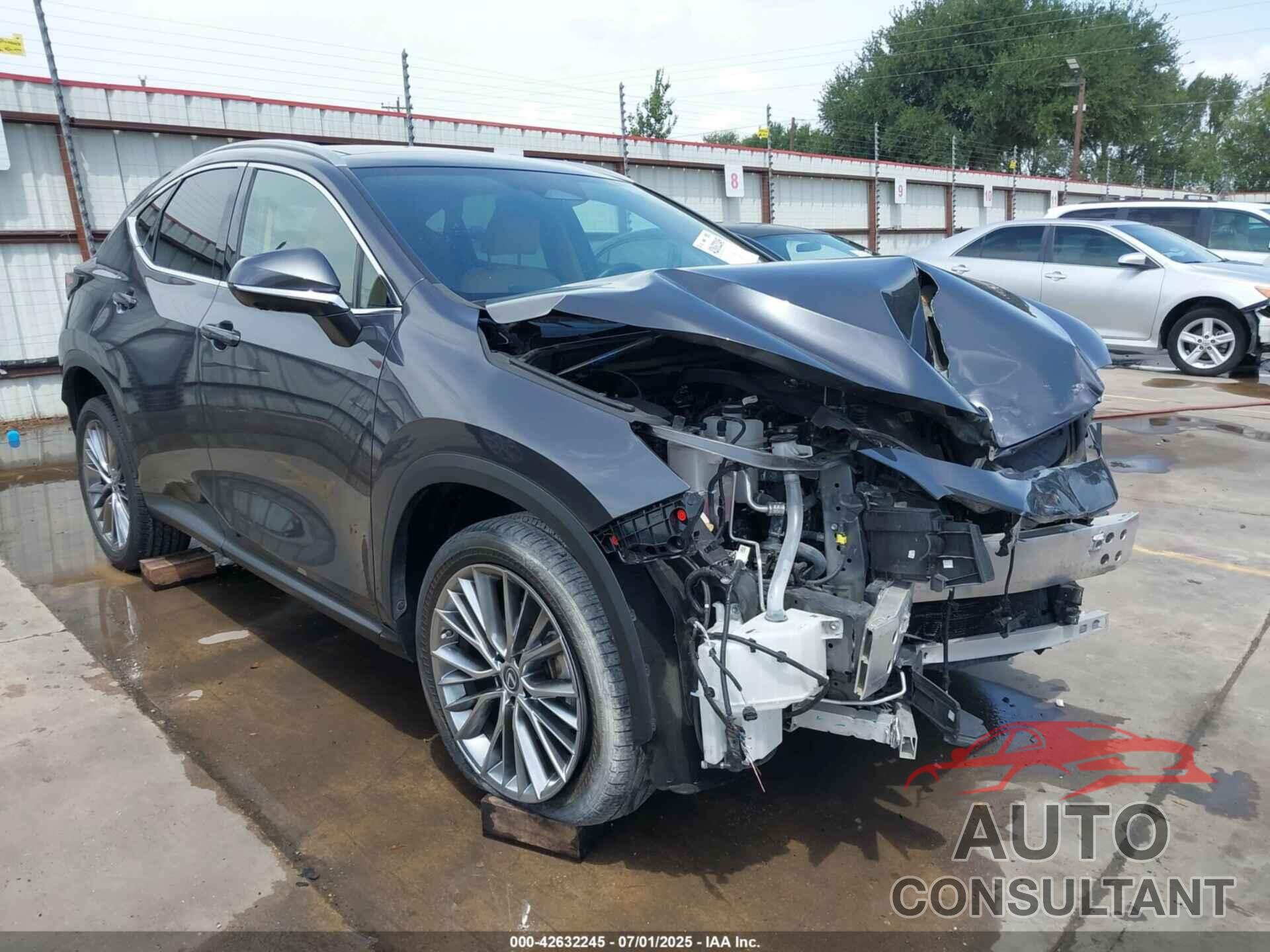 LEXUS NX 2023 - 2T2HGCEZ7PC031801