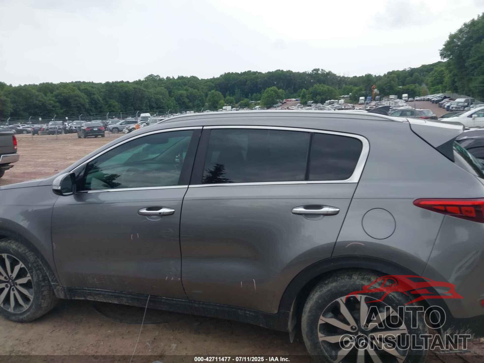 KIA SPORTAGE 2017 - KNDPN3AC7H7162477