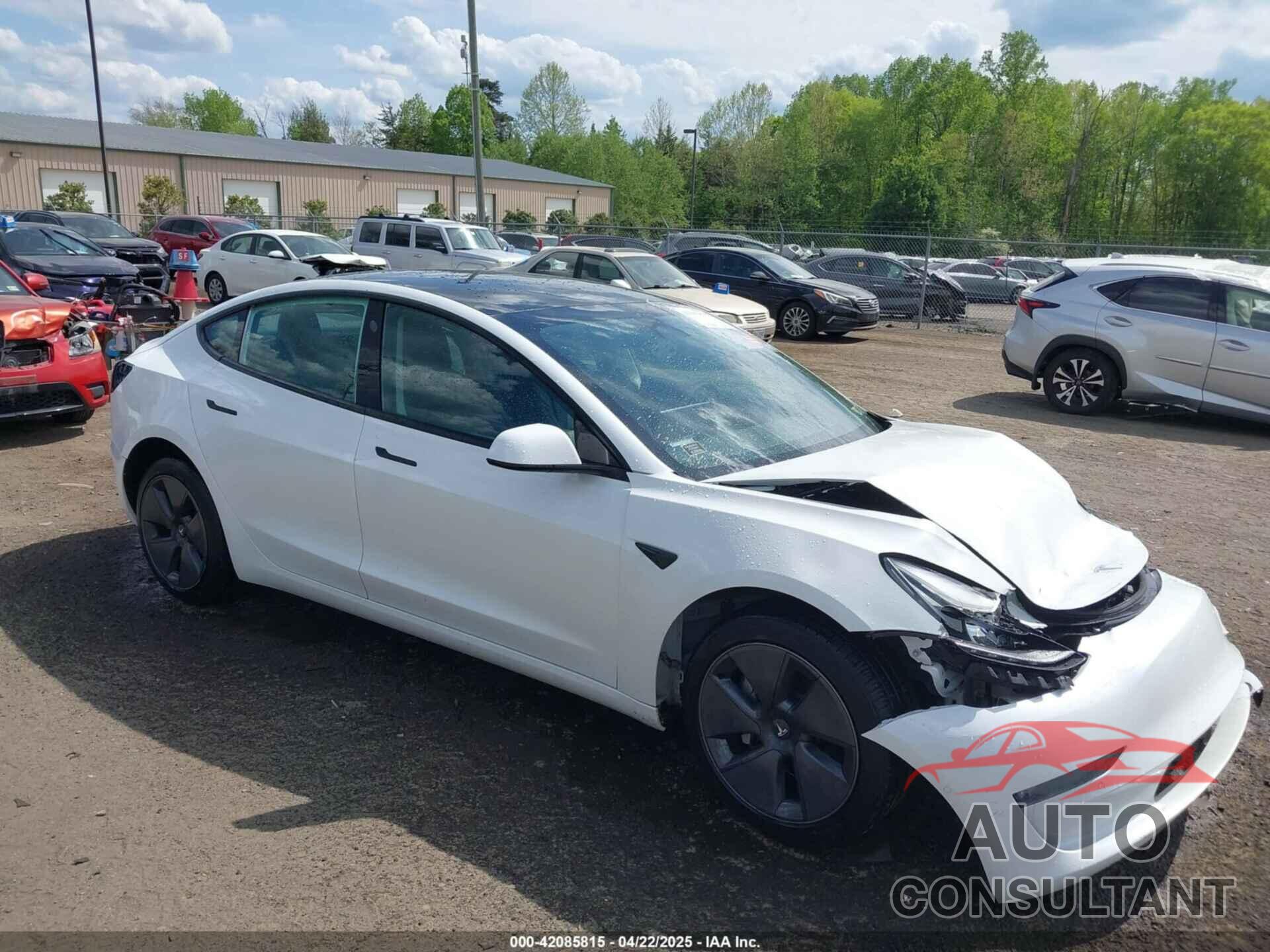 TESLA MODEL 3 2022 - 5YJ3E1EB4NF183832