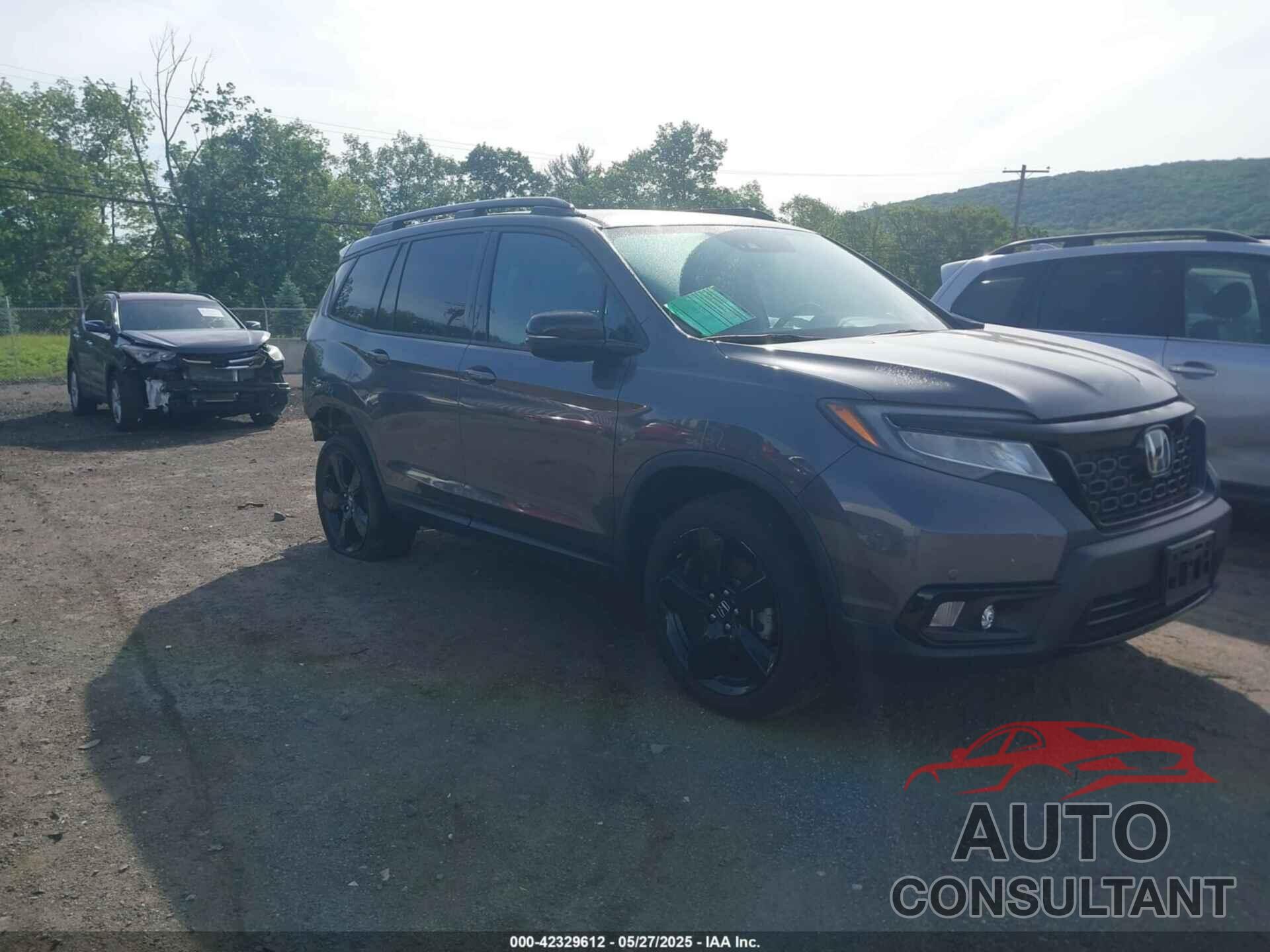HONDA PASSPORT 2019 - 5FNYF8H0XKB030776