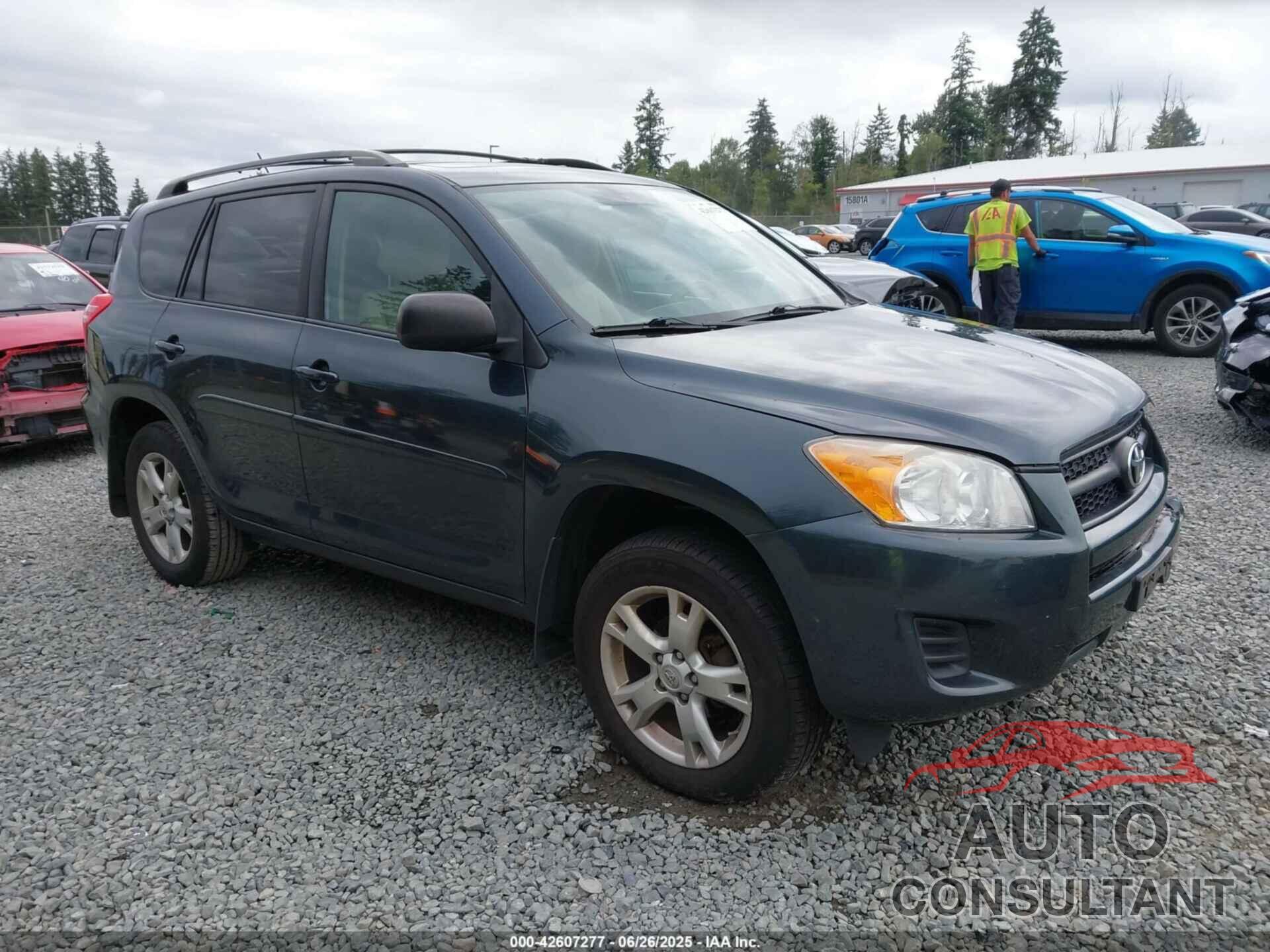 TOYOTA RAV4 2011 - 2T3BF4DV6BW112708