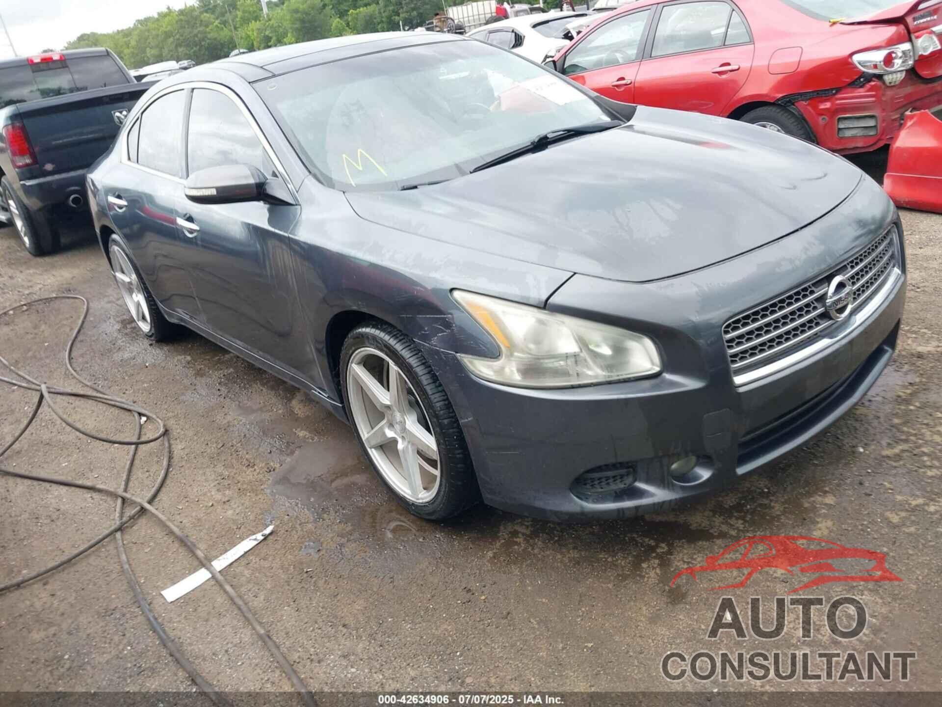 NISSAN MAXIMA 2011 - 1N4AA5AP6BC820889