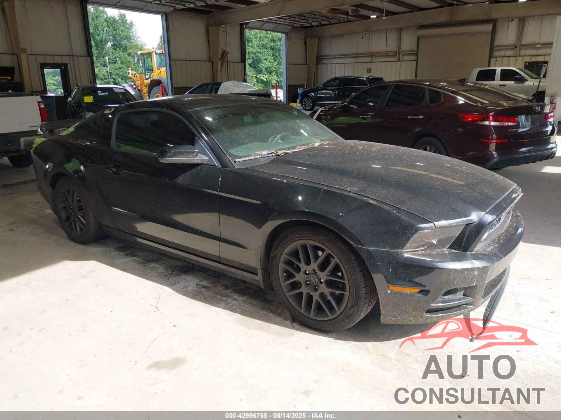 FORD MUSTANG 2013 - 1ZVBP8AM3D5281009