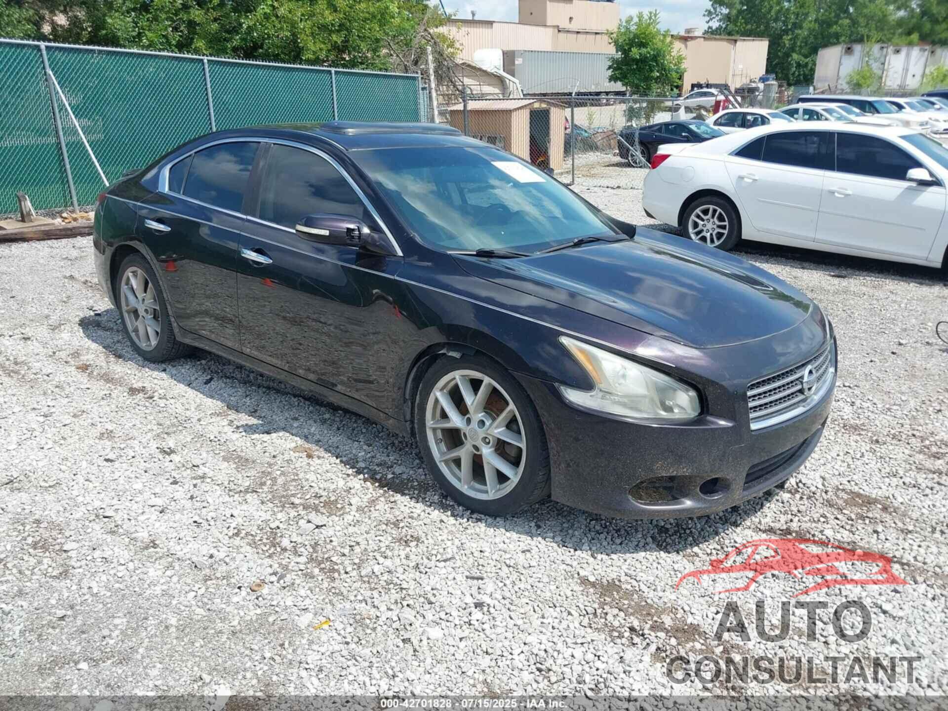 NISSAN MAXIMA 2010 - 1N4AA5AP0AC800815