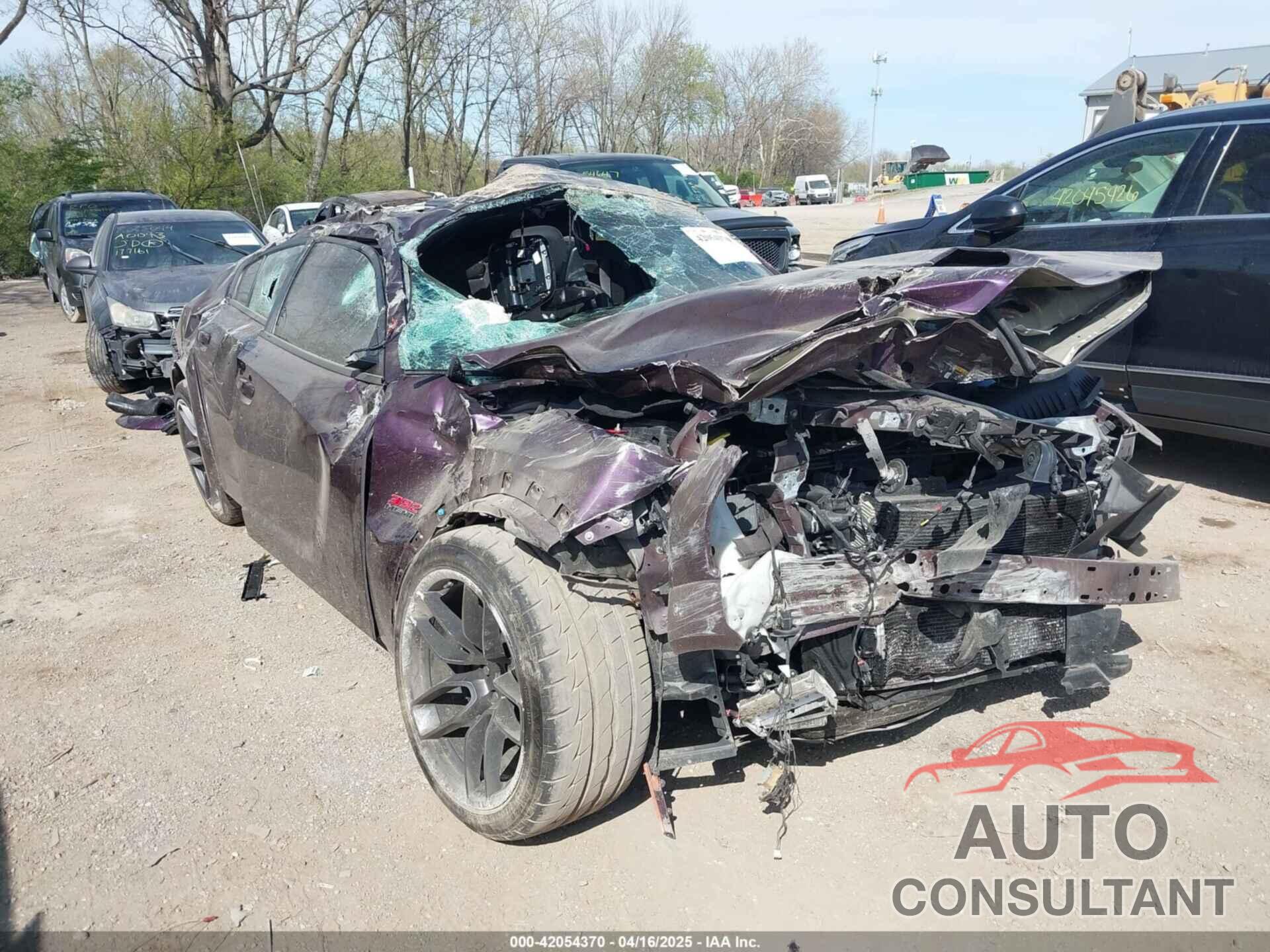 DODGE CHARGER 2020 - 2C3CDXGJ1LH185771