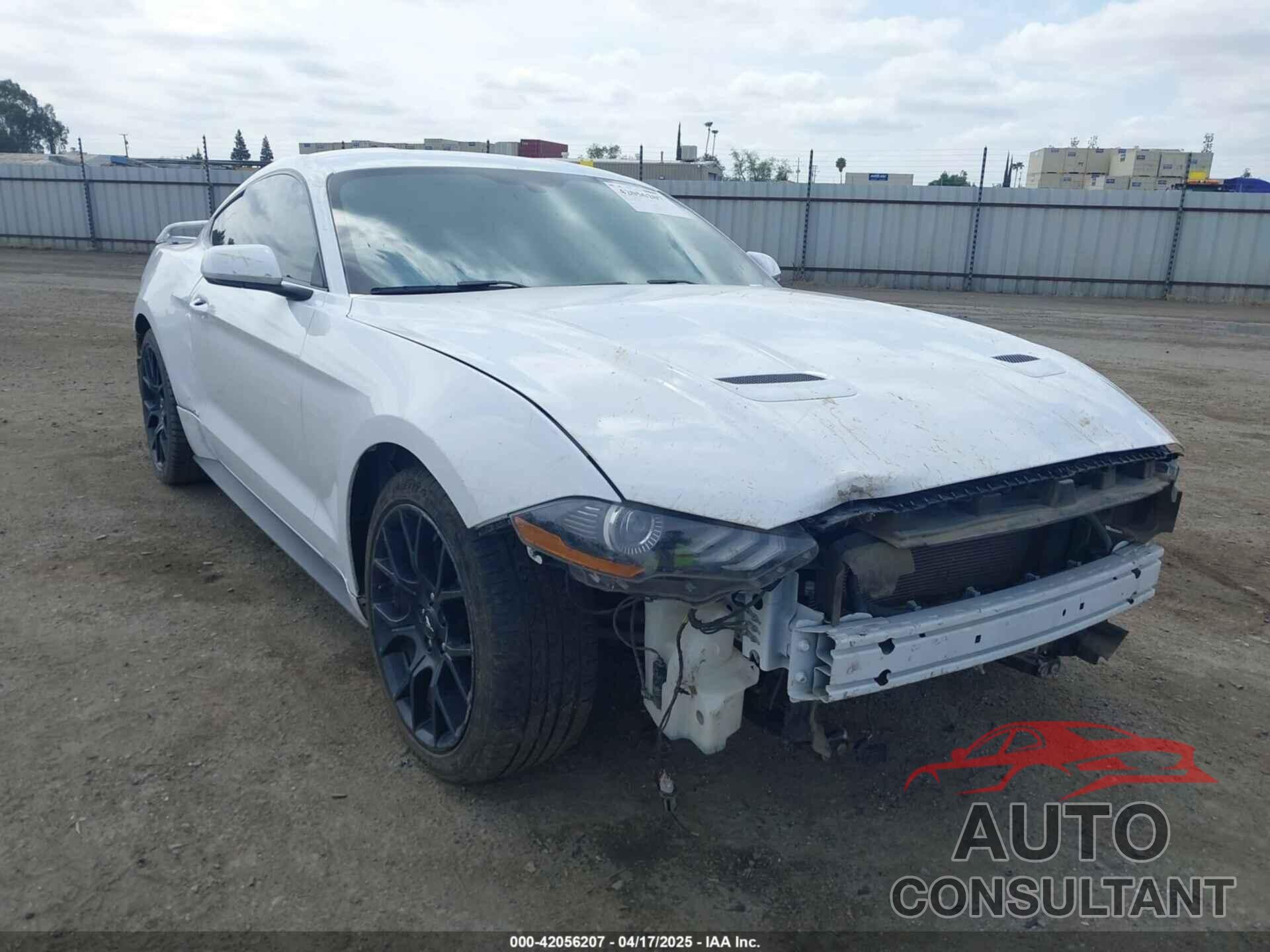 FORD MUSTANG 2019 - 1FA6P8THXK5143703
