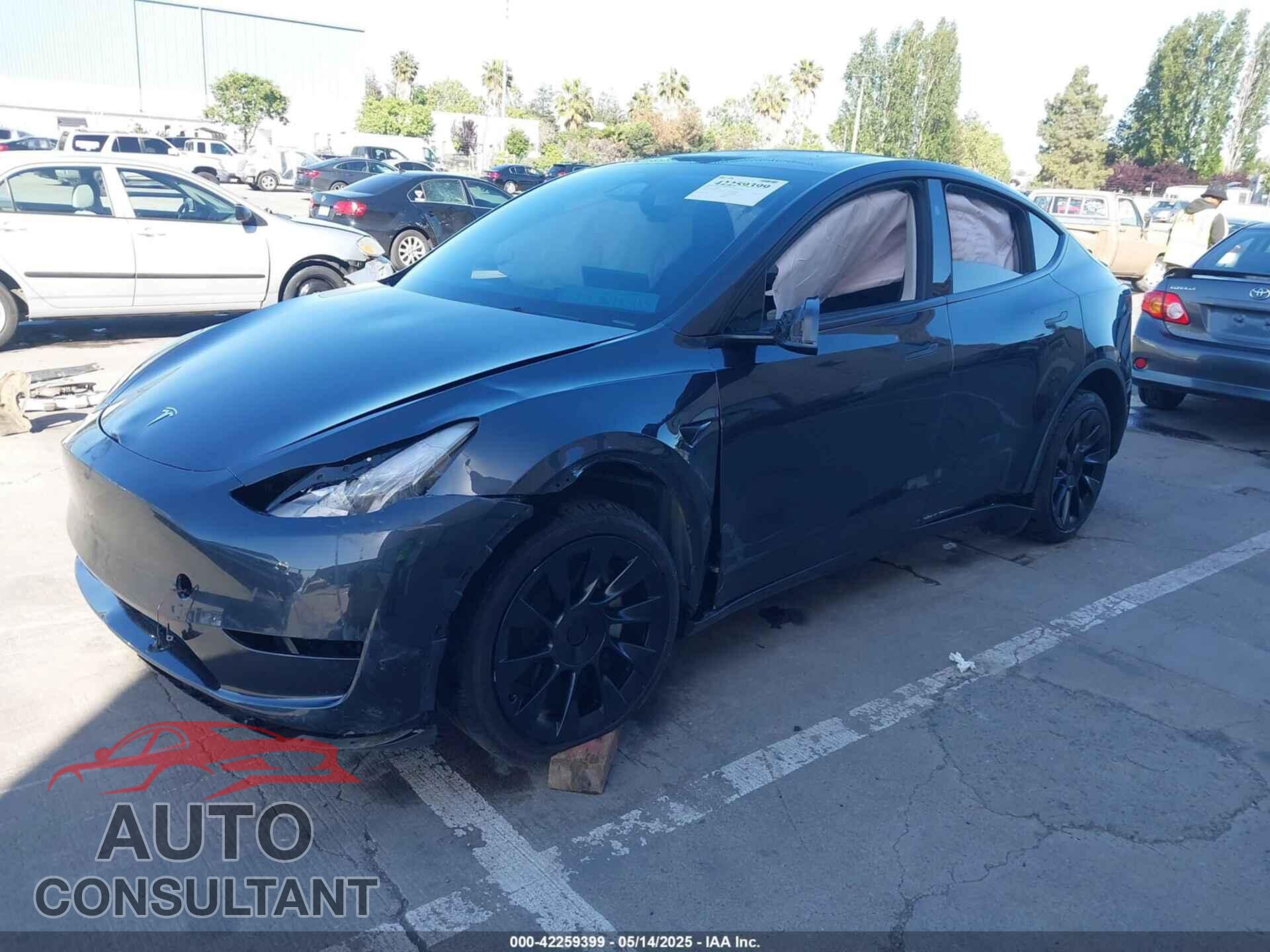 TESLA MODEL Y 2024 - 7SAYGDEE2RF005762