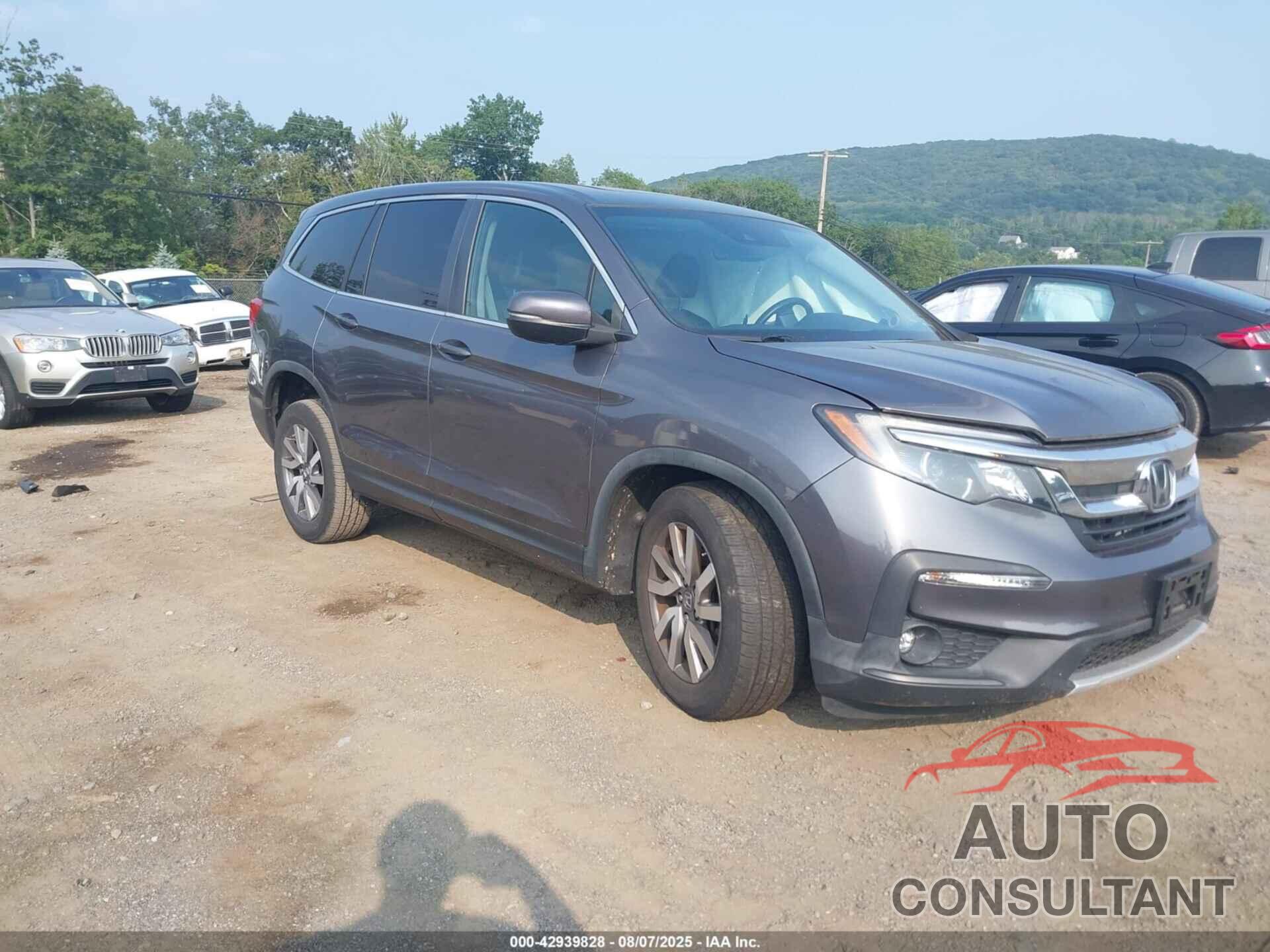 HONDA PILOT 2019 - 5FNYF6H5XKB092291