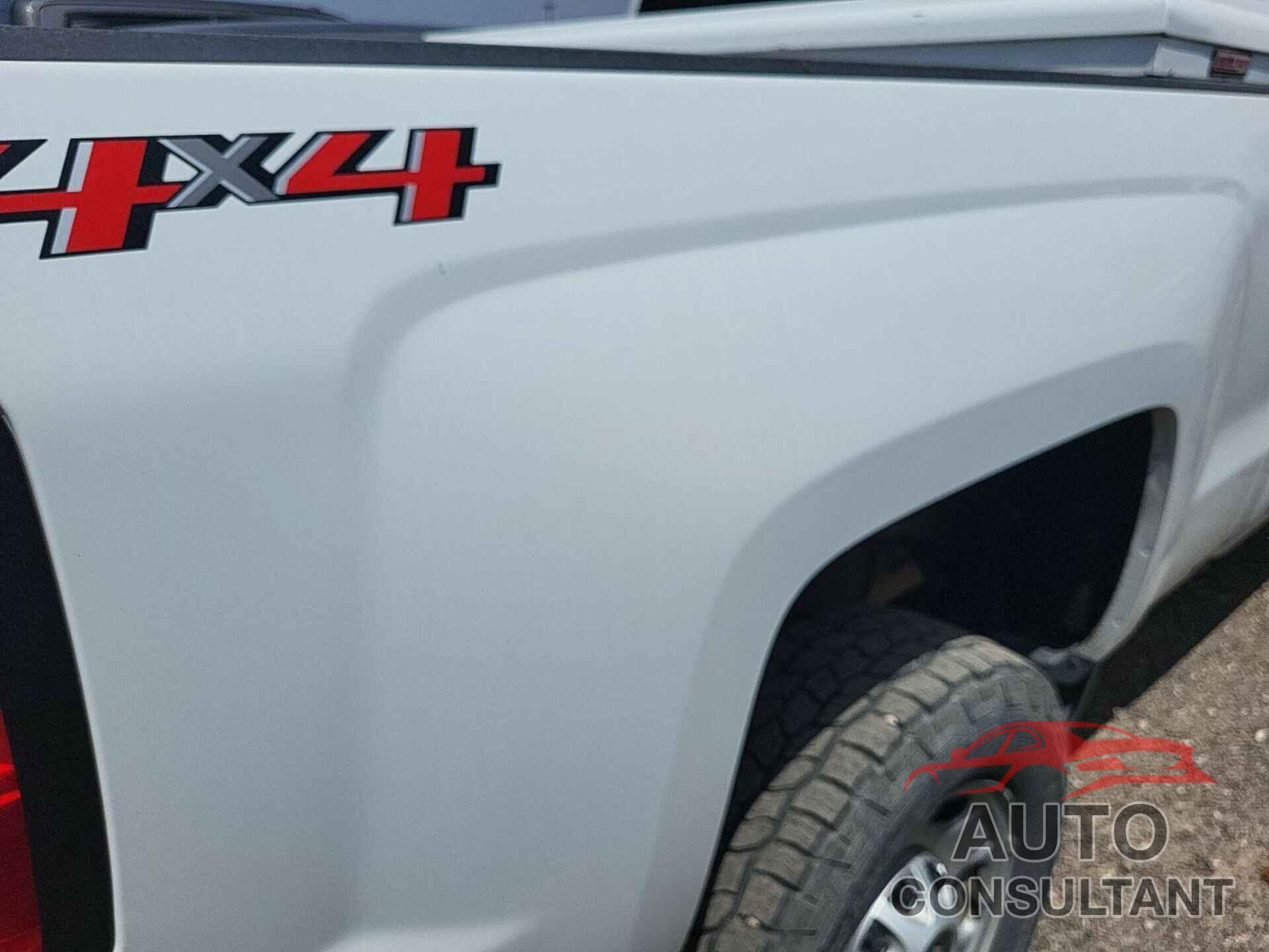 CHEVROLET SILVERADO 2019 - 2GC2KSEG4K1163620