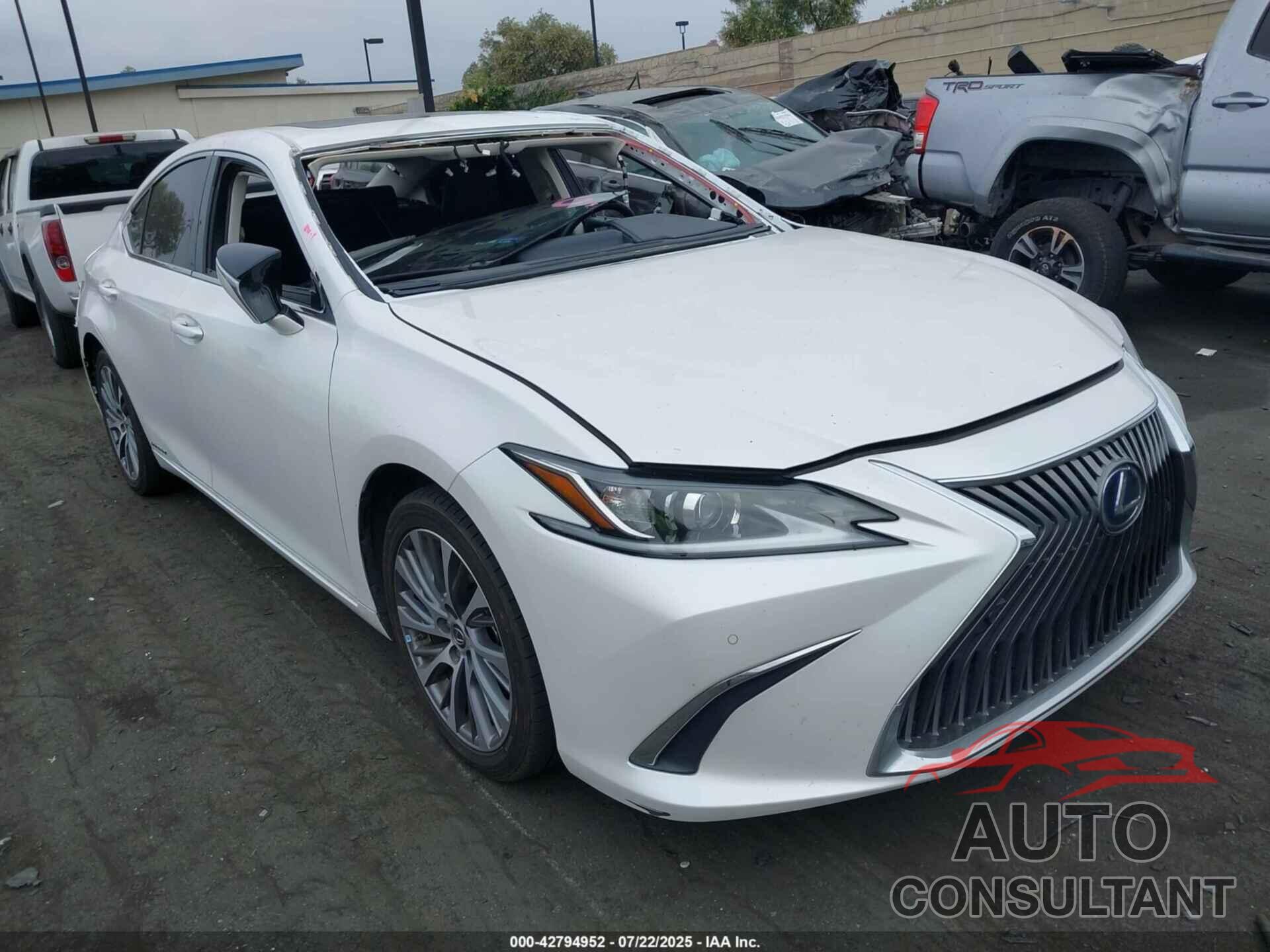 LEXUS ES 300H 2021 - 58ADA1C12MU010962