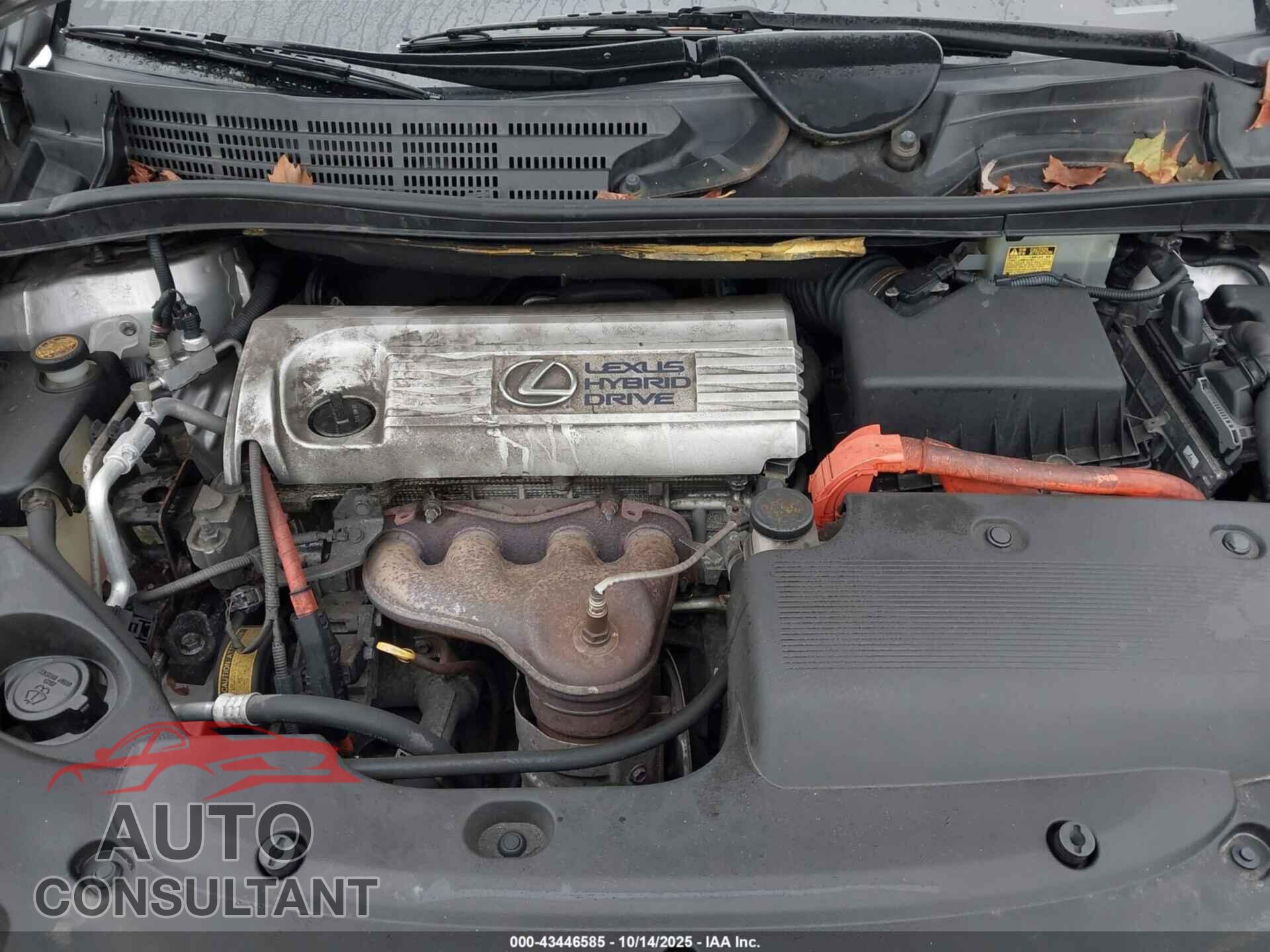 LEXUS HS 250H 2010 - JTHBB1BAXA2034465