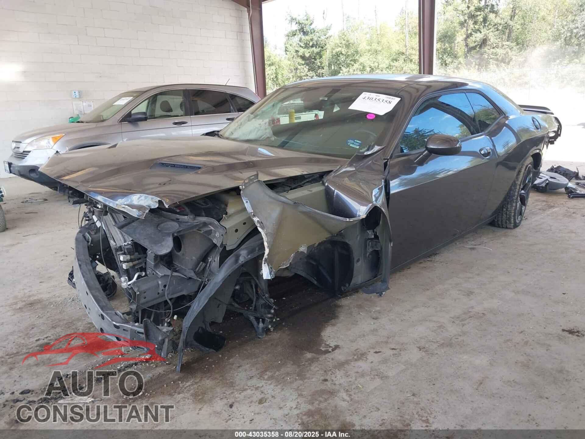 DODGE CHALLENGER 2019 - 2C3CDZAG0KH636244