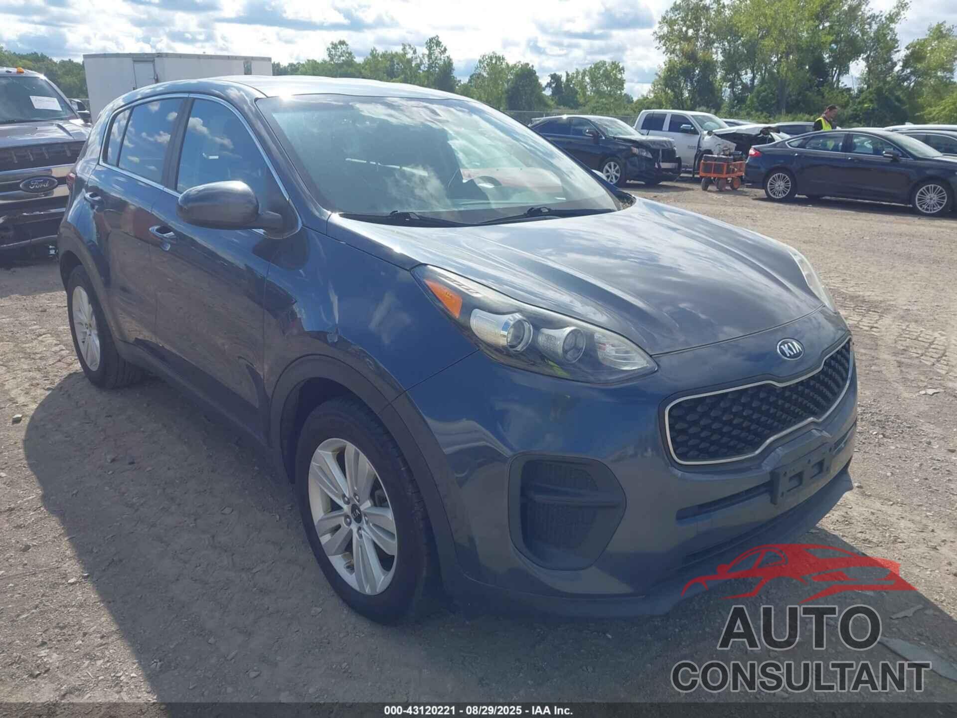 KIA SPORTAGE 2019 - KNDPM3AC3K7536545