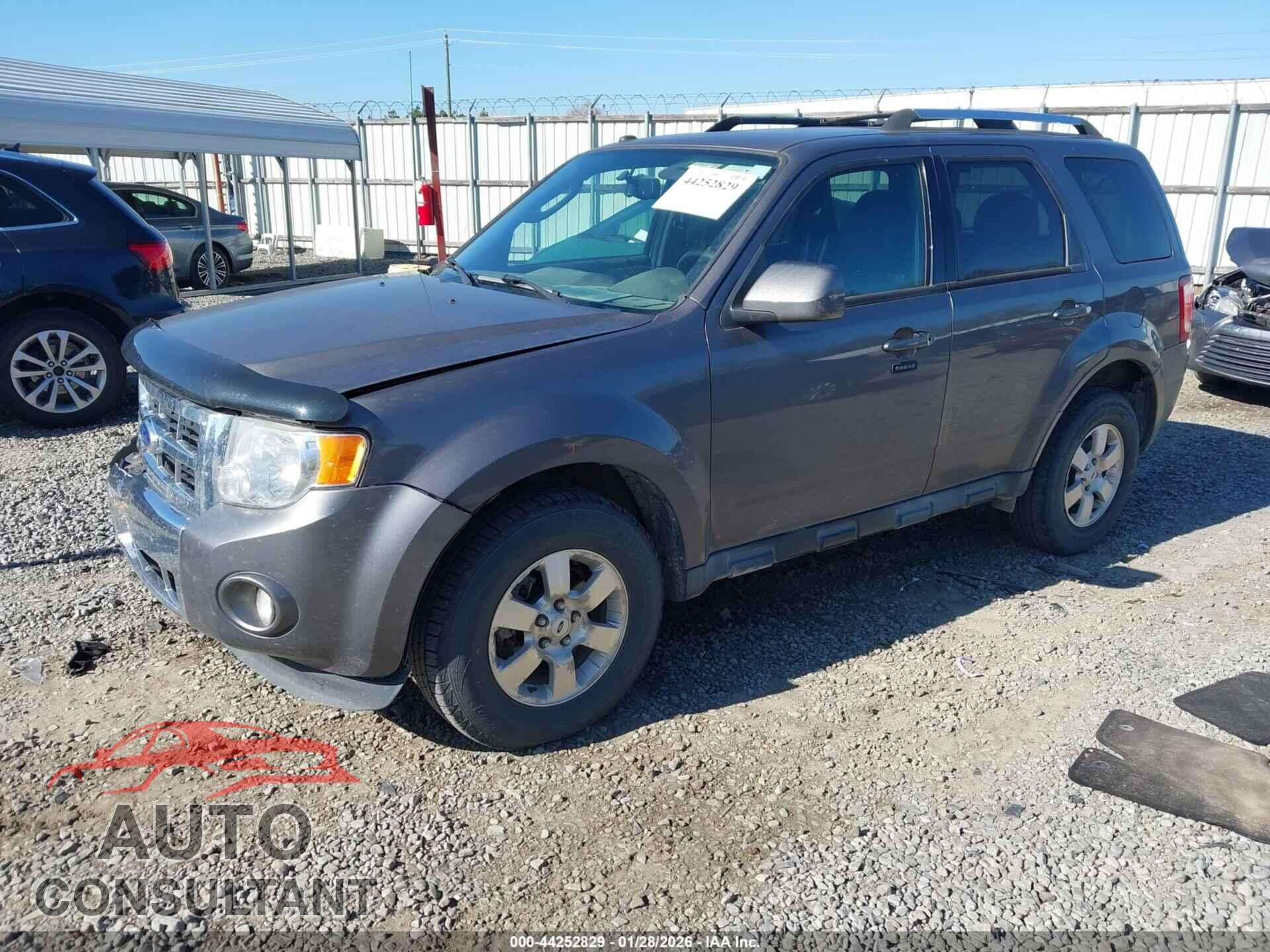 FORD ESCAPE 2011 - 1FMCU0EG8BKC08816
