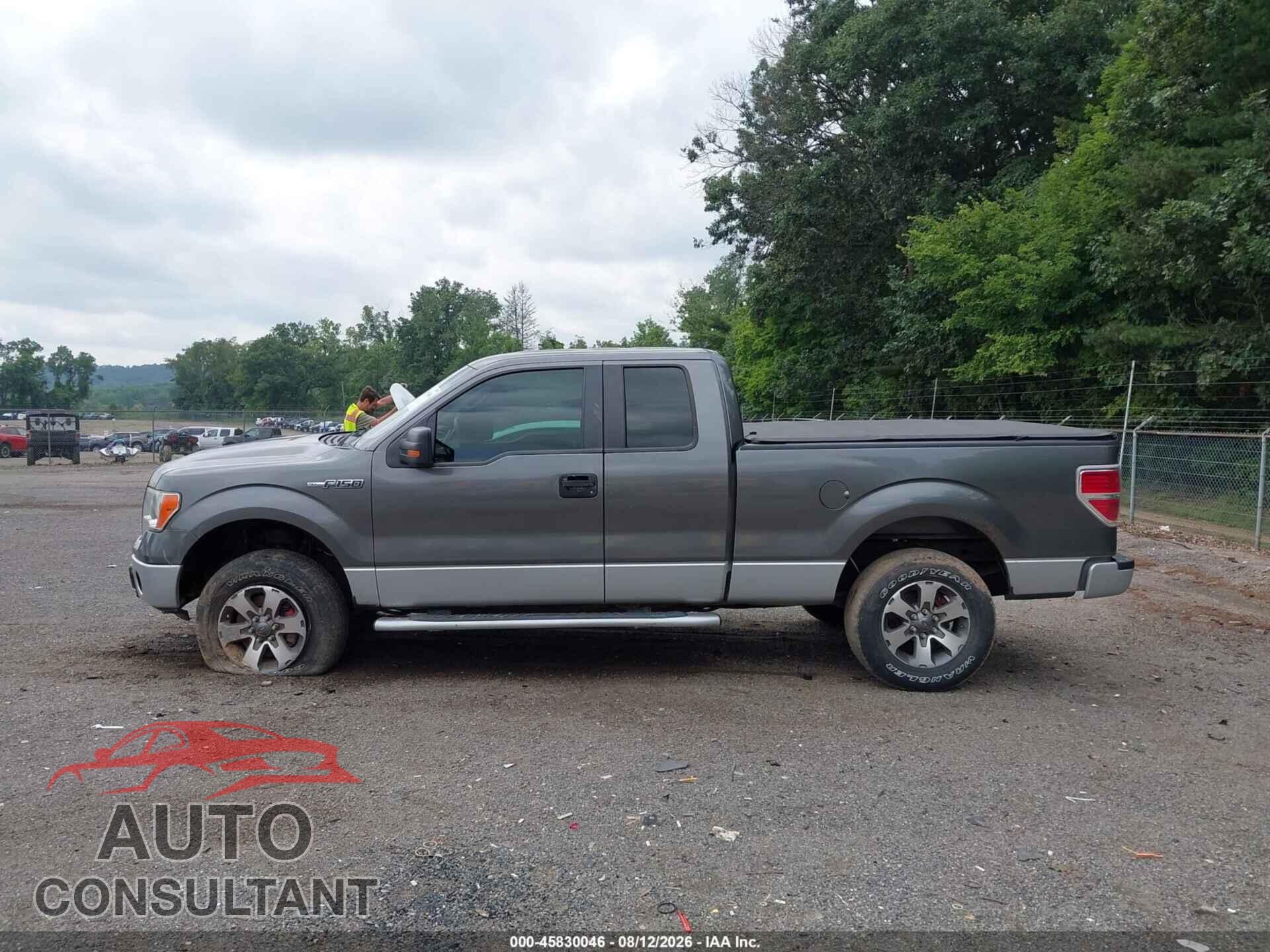 FORD F-150 2013 - 1FTFX1EFXDFD27744