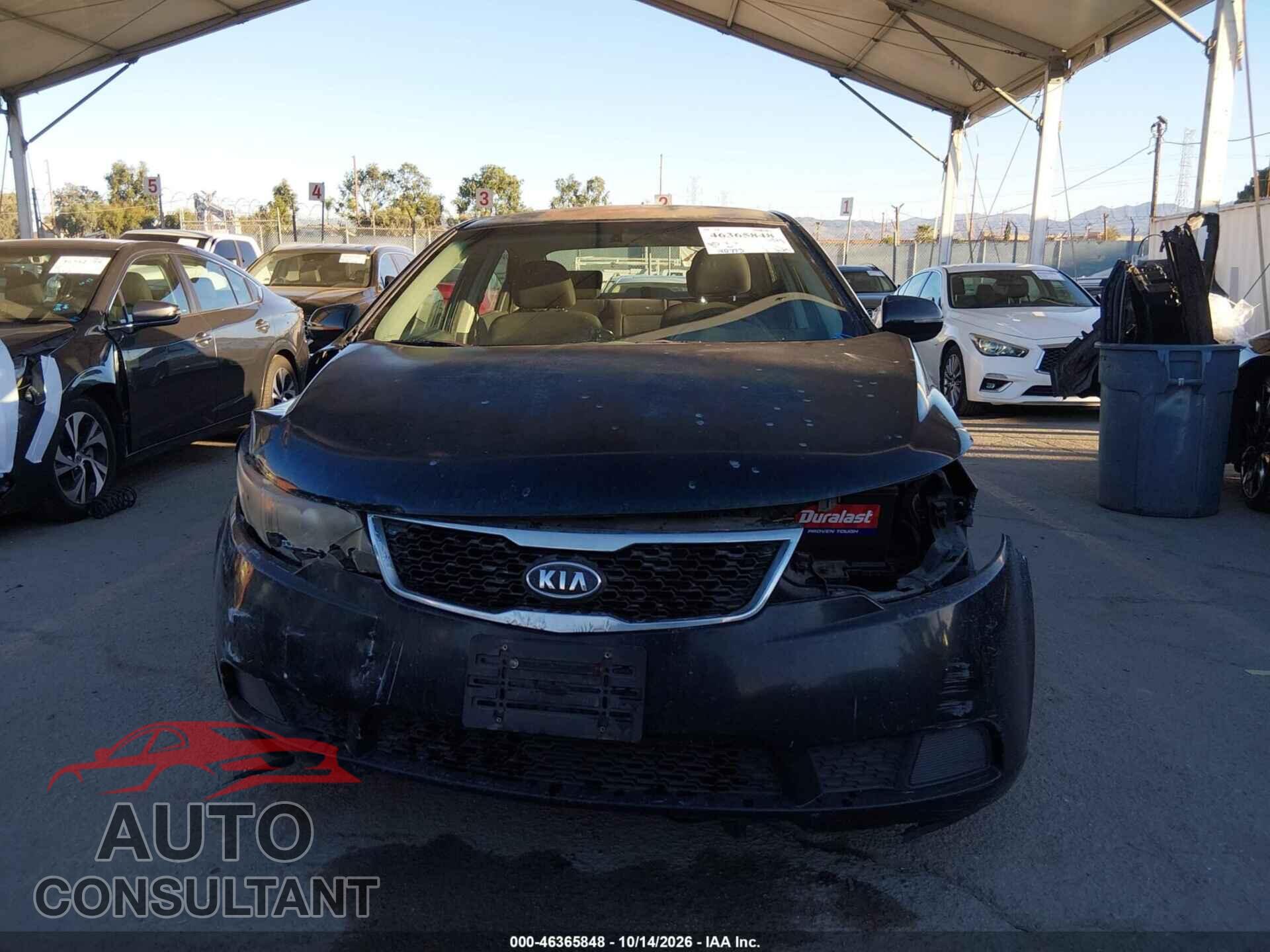 KIA FORTE 2012 - KNAFU4A20C5534299