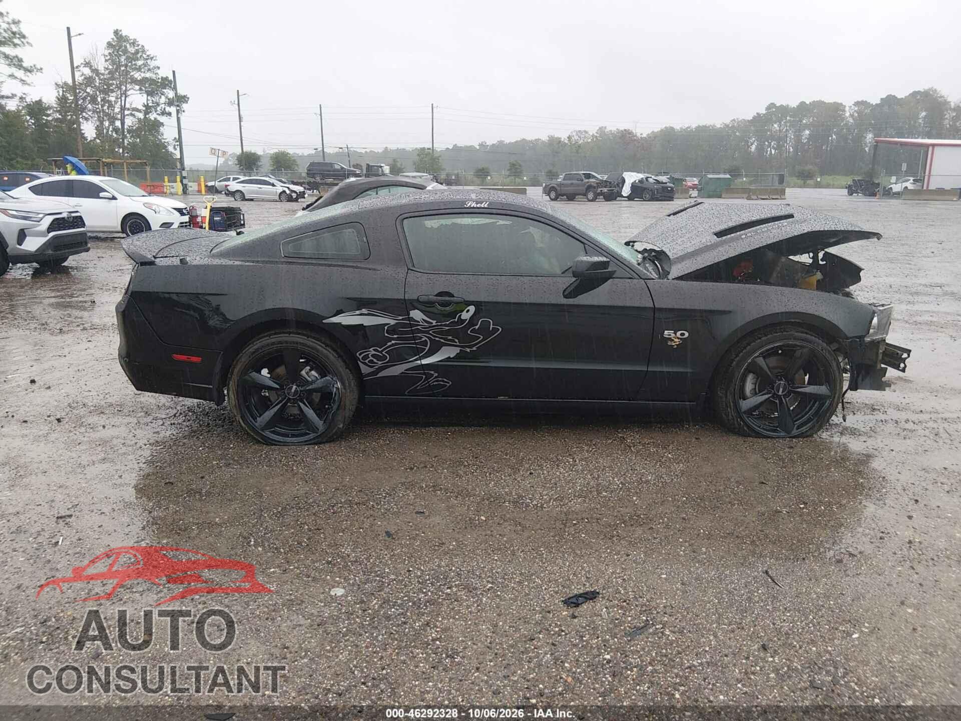 FORD MUSTANG 2014 - 1ZVBP8CF8E5331130
