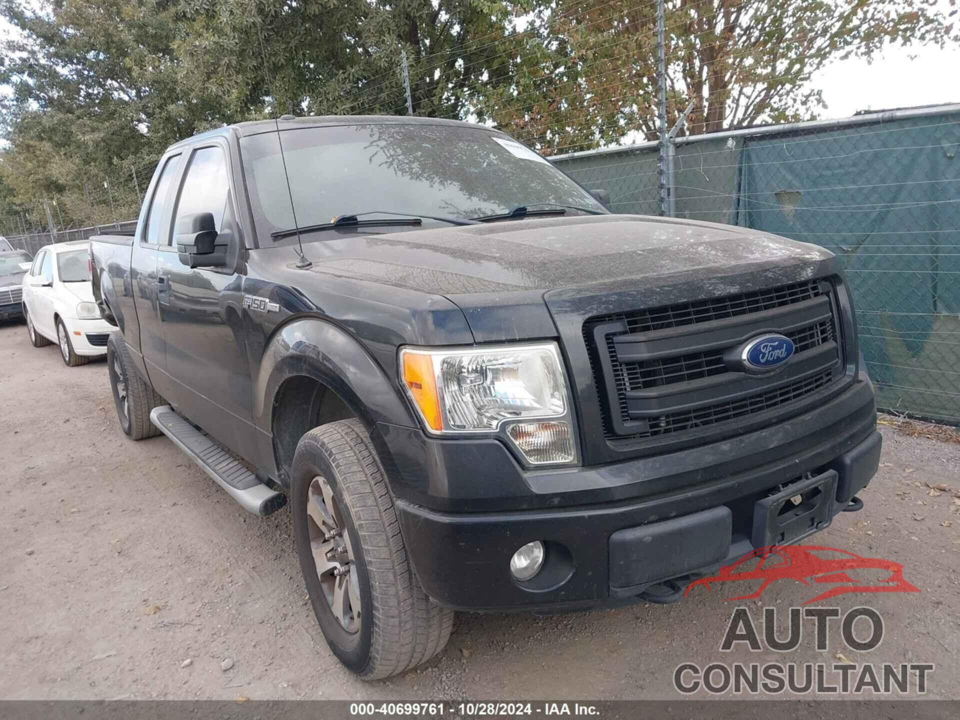 FORD F-150 2013 - 1FTFX1EF4DFB18421