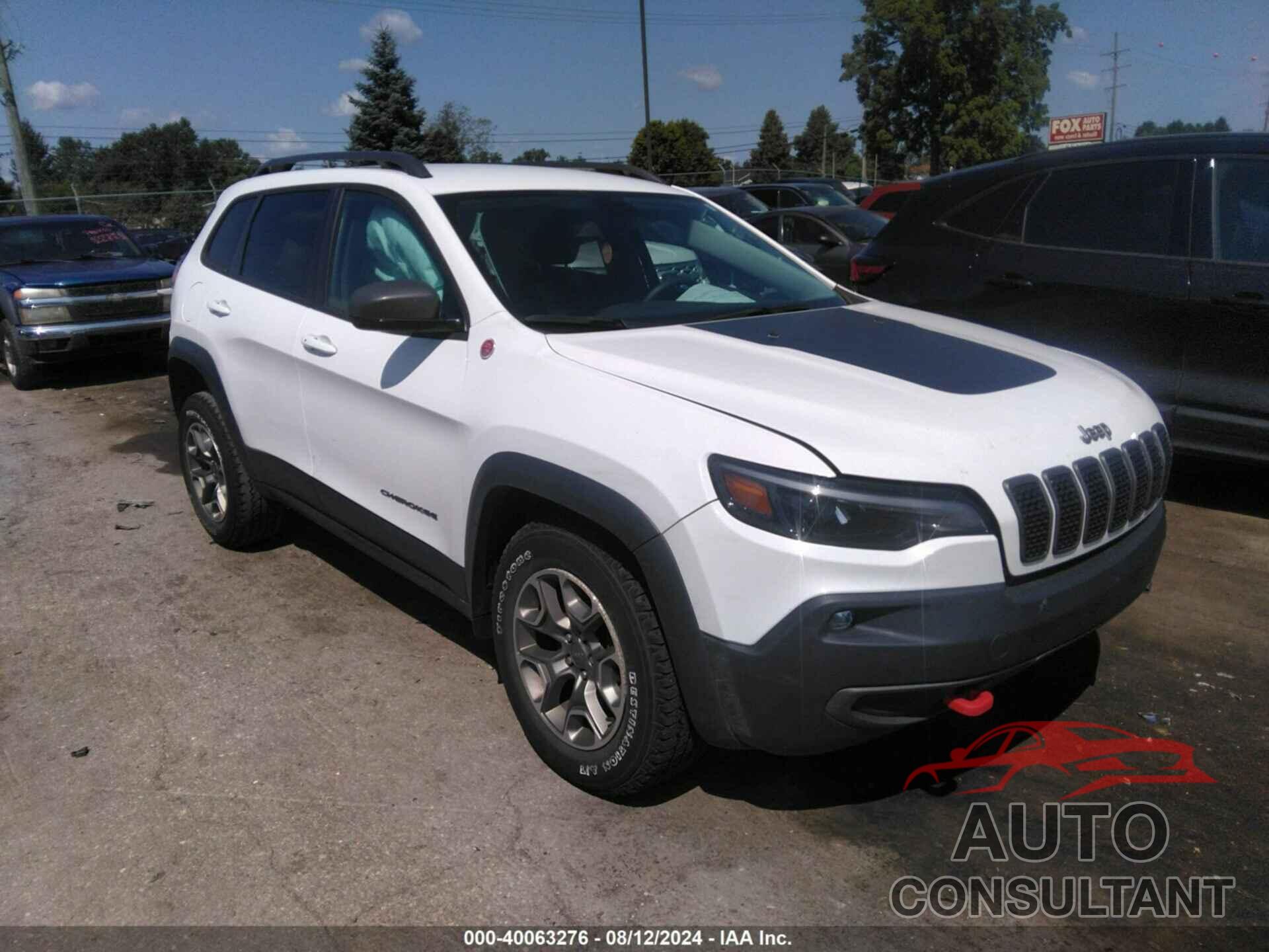 JEEP CHEROKEE 2020 - 1C4PJMBX0LD564001