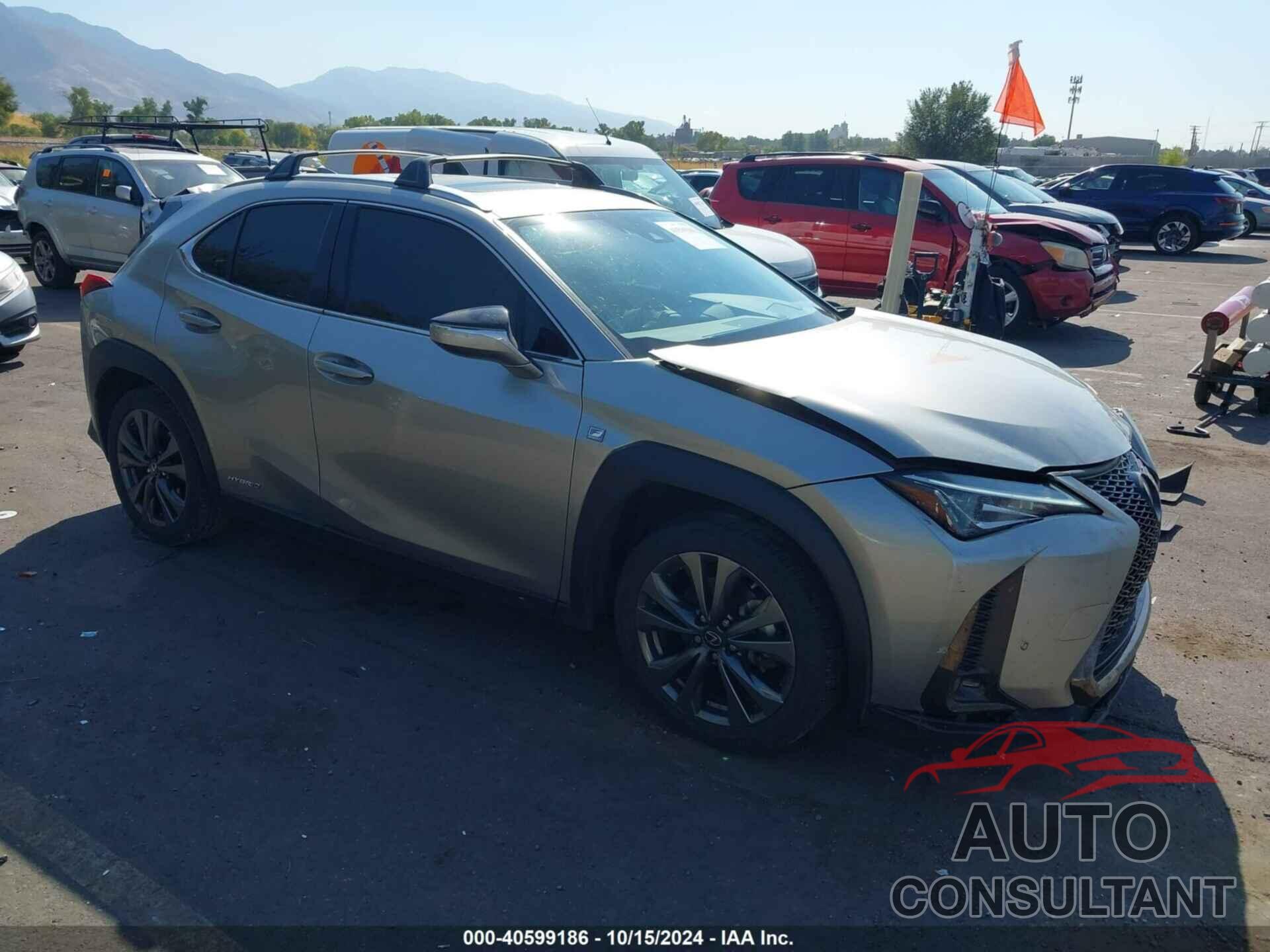 LEXUS UX 250H 2021 - JTHR9JBH1M2044670