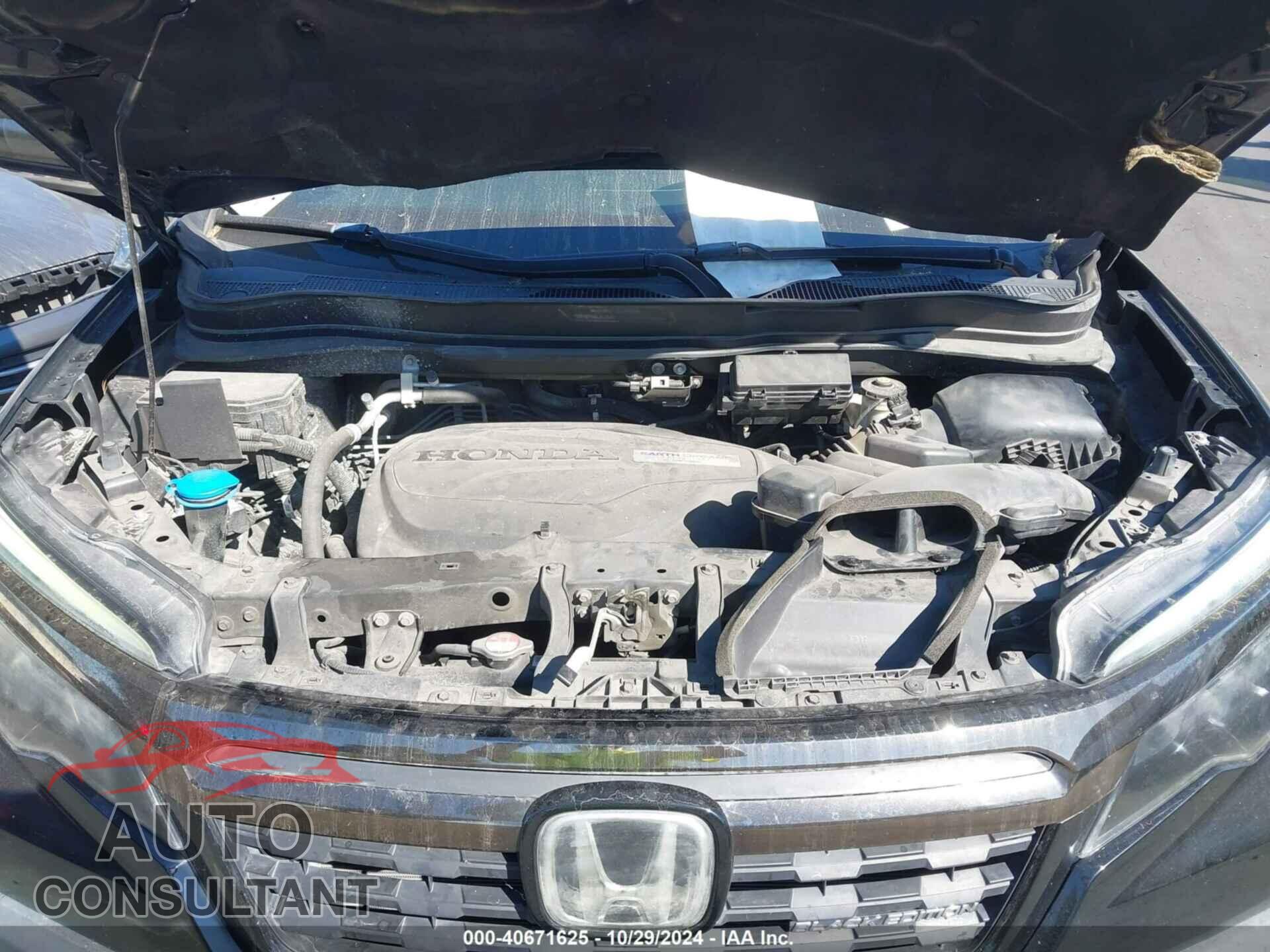 HONDA RIDGELINE 2017 - 5FPYK3F88HB010727