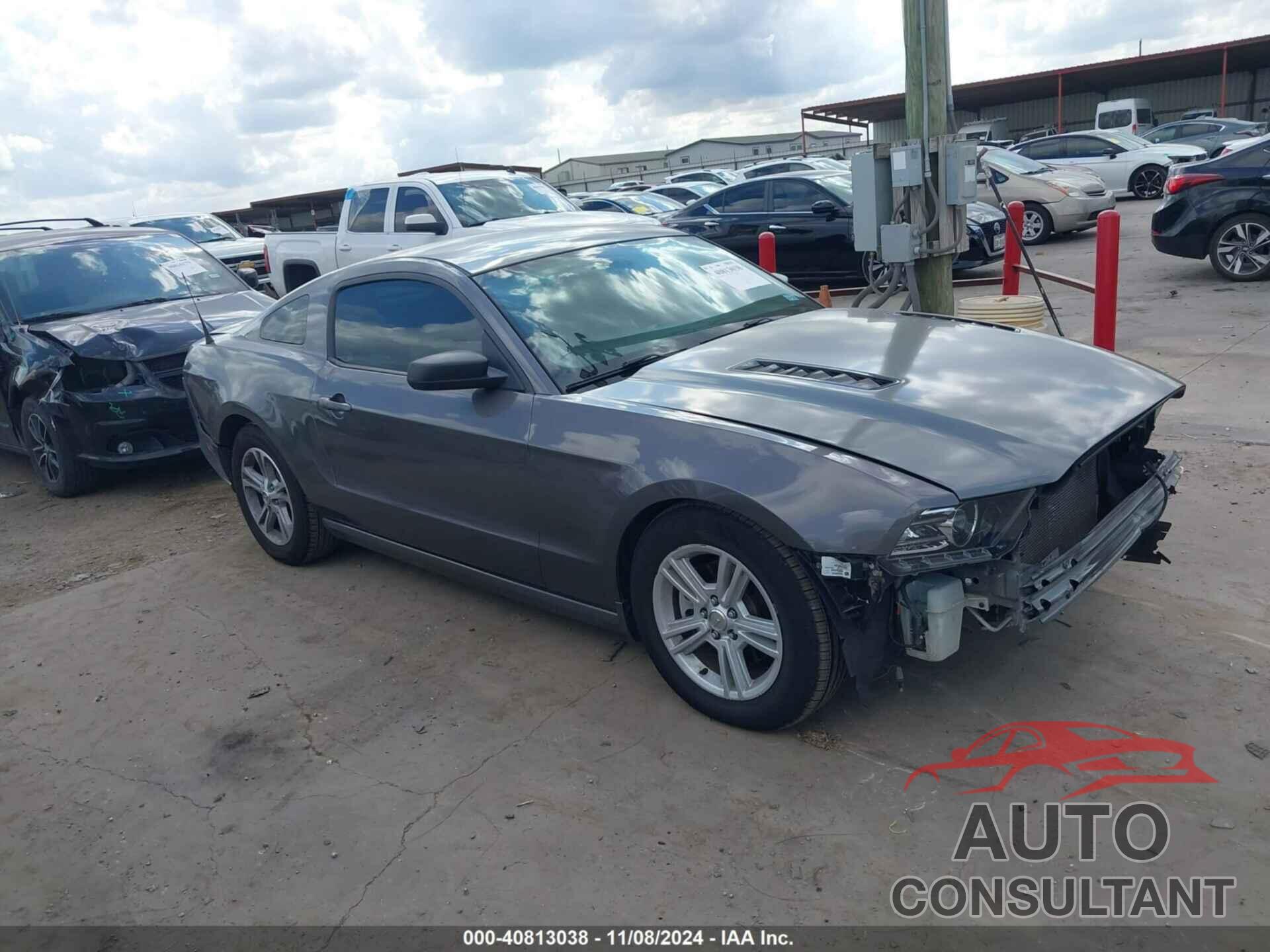 FORD MUSTANG 2014 - 1ZVBP8AM9E5280755