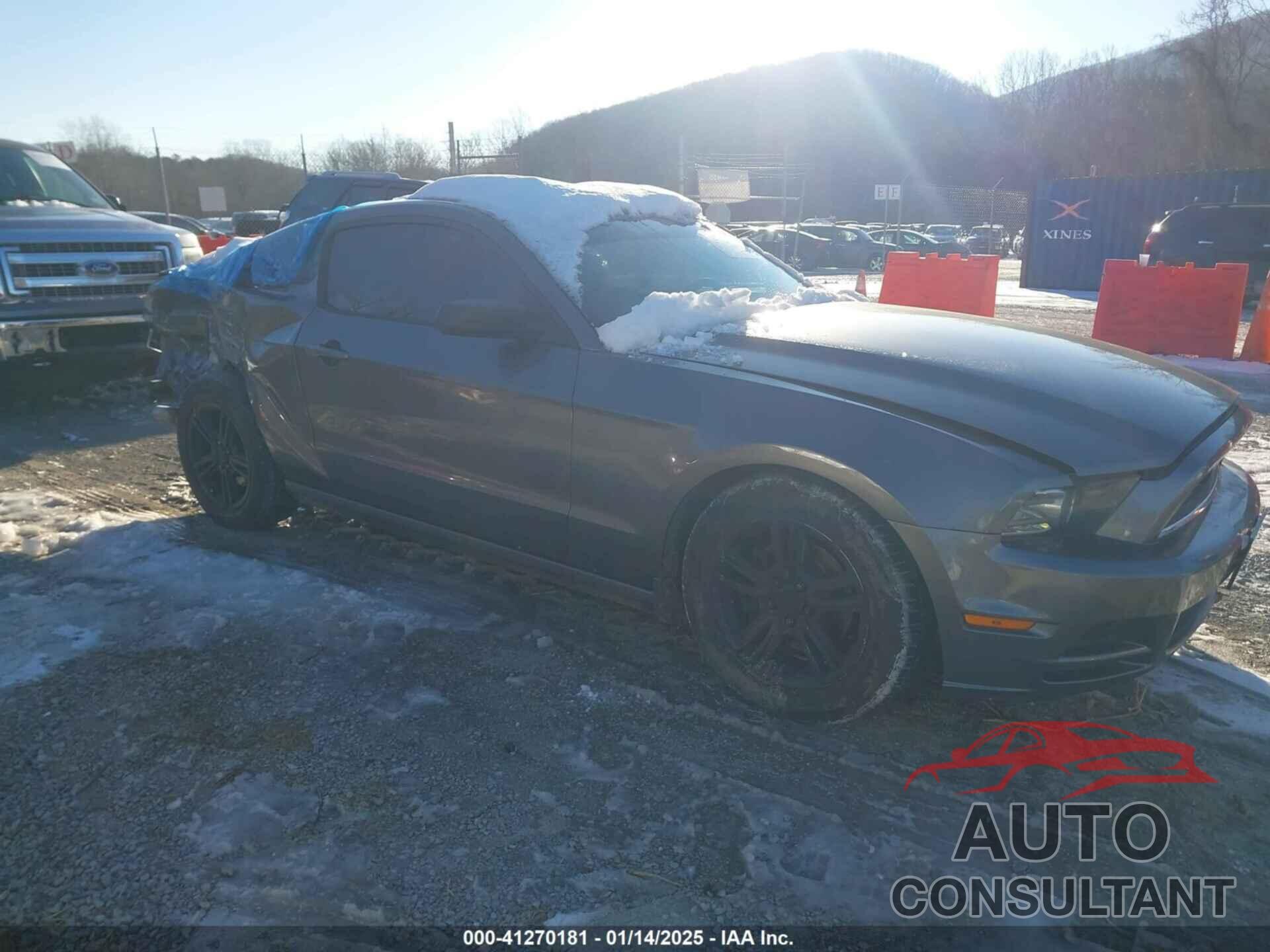 FORD MUSTANG 2014 - 1ZVBP8AM3E5231034