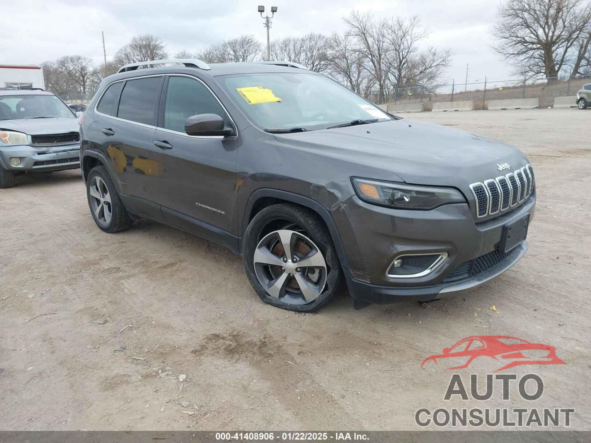 JEEP CHEROKEE 2019 - 1C4PJLDN6KD119458