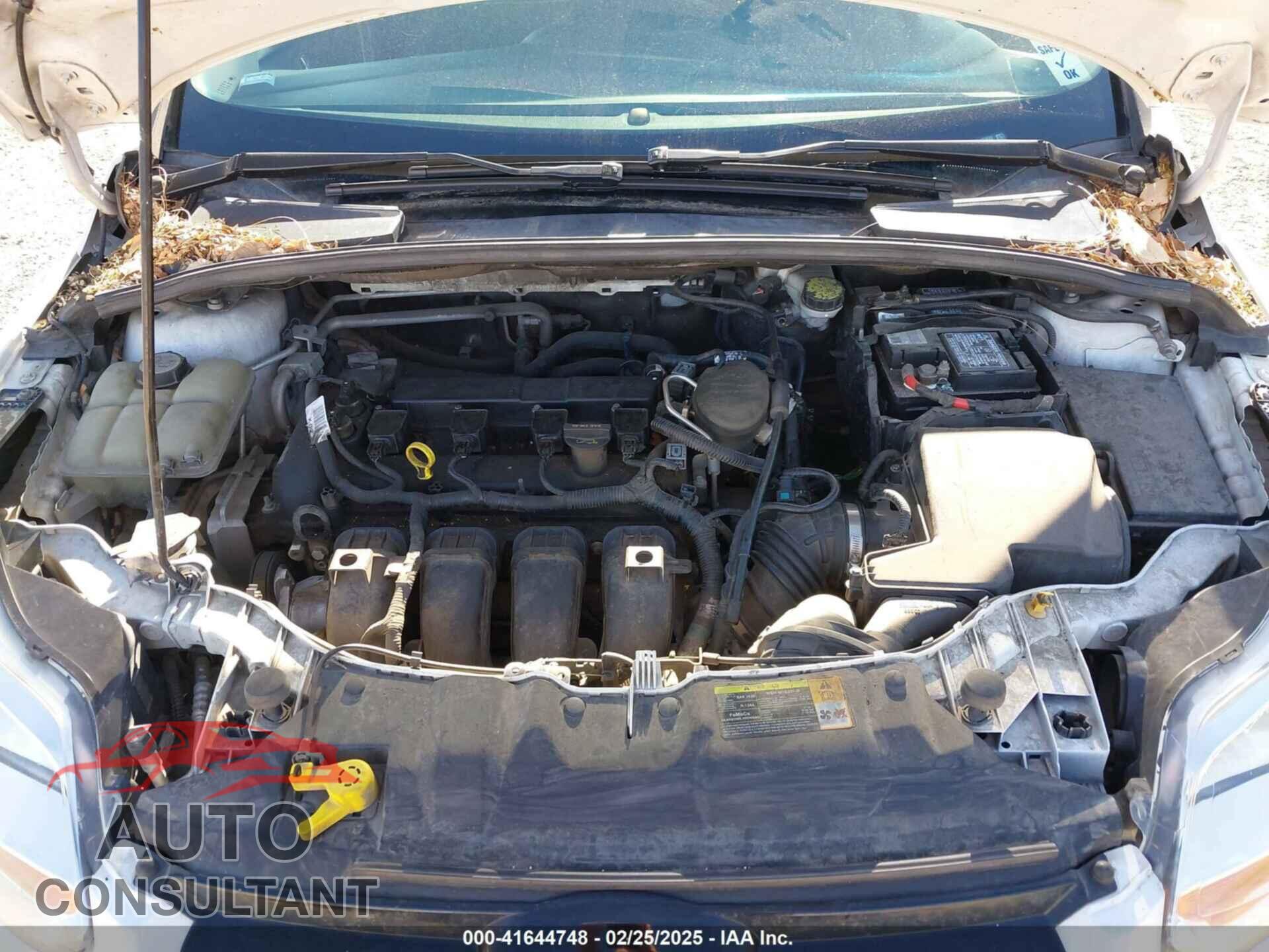 FORD FOCUS 2012 - 1FAHP3M21CL373682