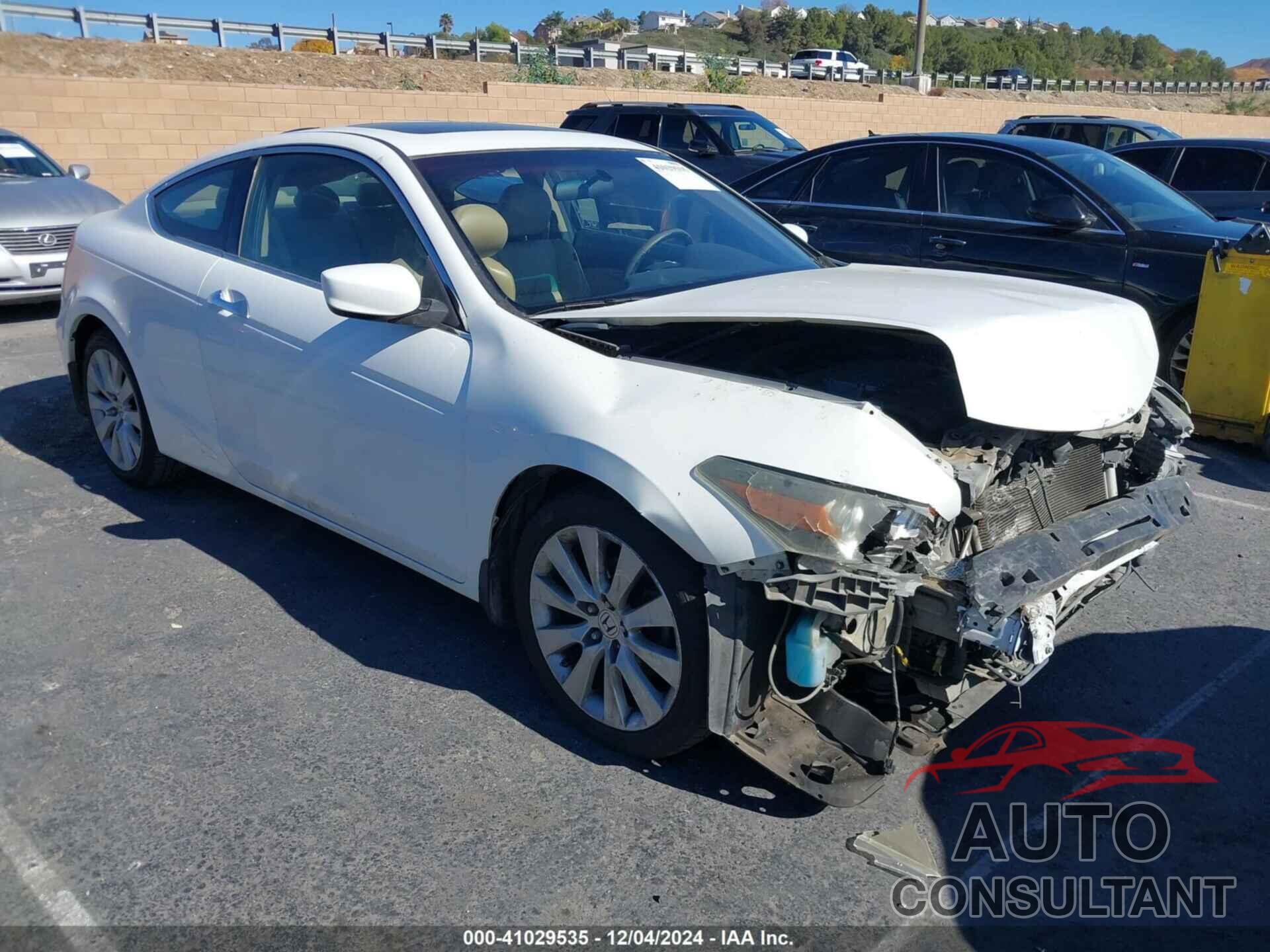 HONDA ACCORD 2010 - 1HGCS2B85AA003513