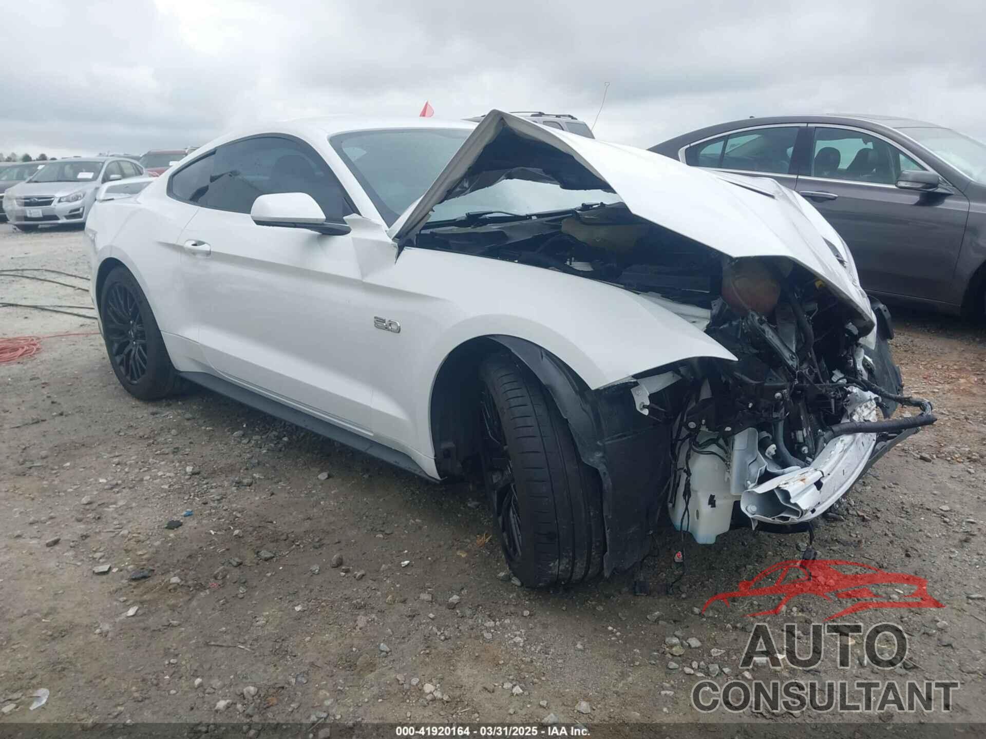 FORD MUSTANG 2019 - 1FA6P8CF0K5141652