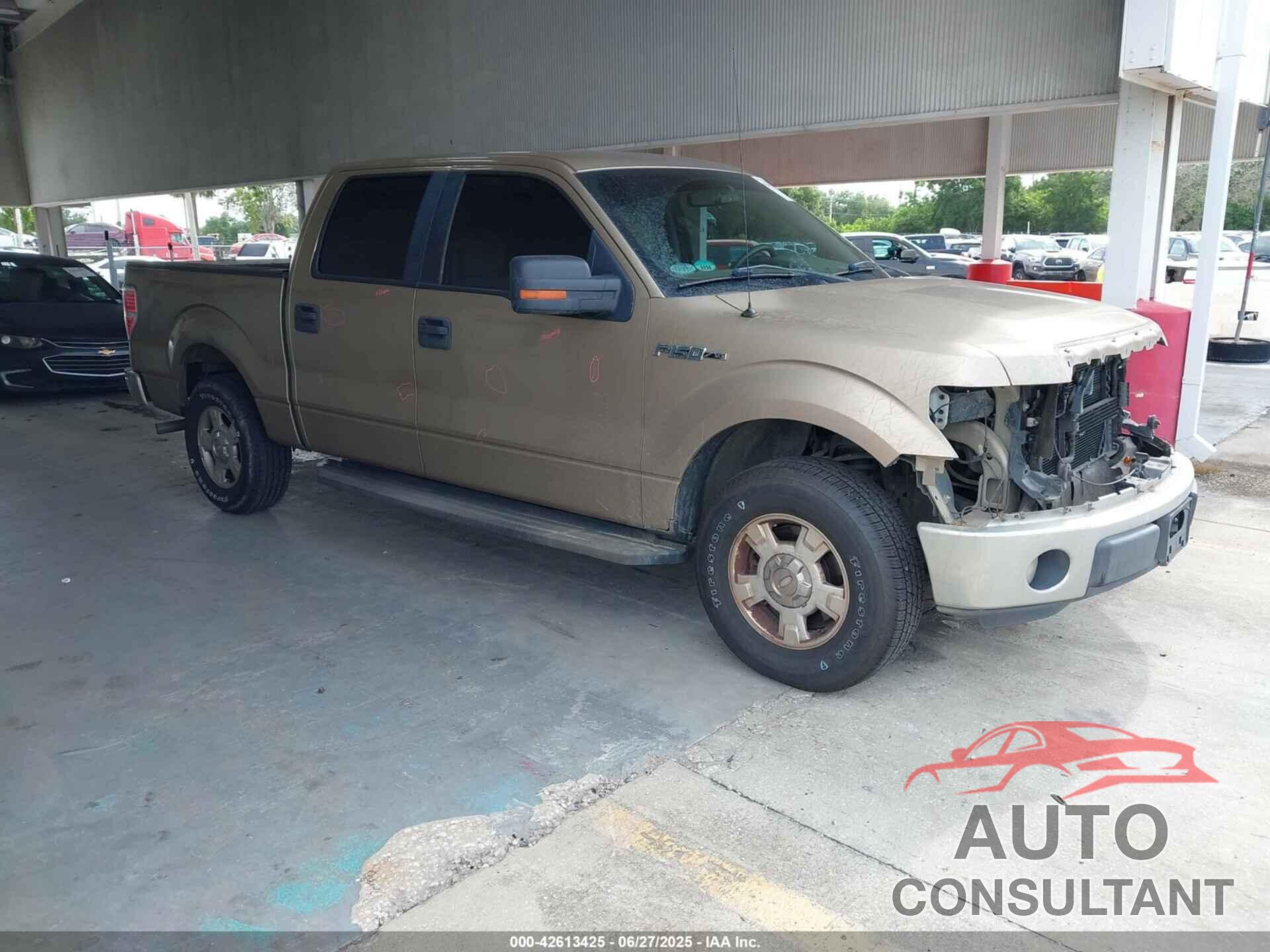 FORD F150 2011 - 1FTEW1CM5BFA76595