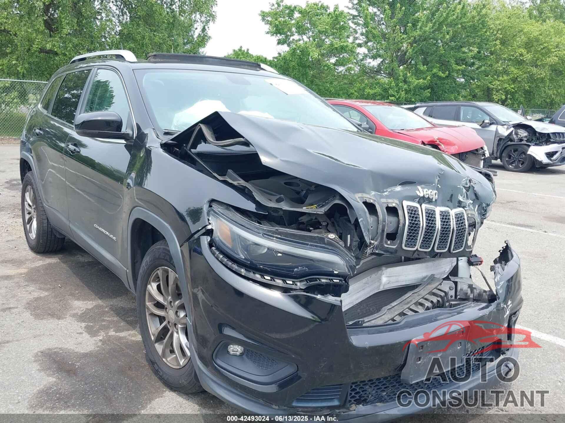 JEEP CHEROKEE 2019 - 1C4PJMLB7KD317253