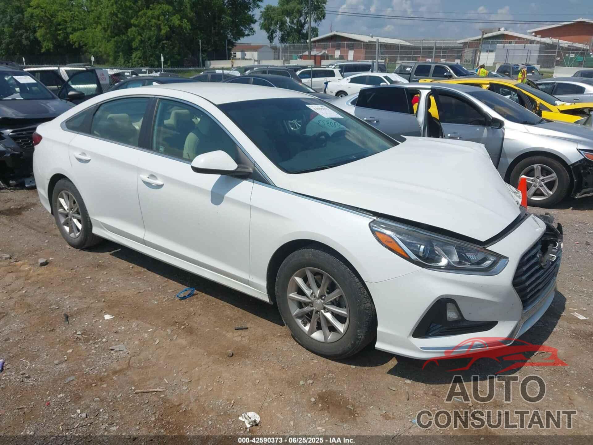 HYUNDAI SONATA 2019 - 5NPE24AF8KH790406