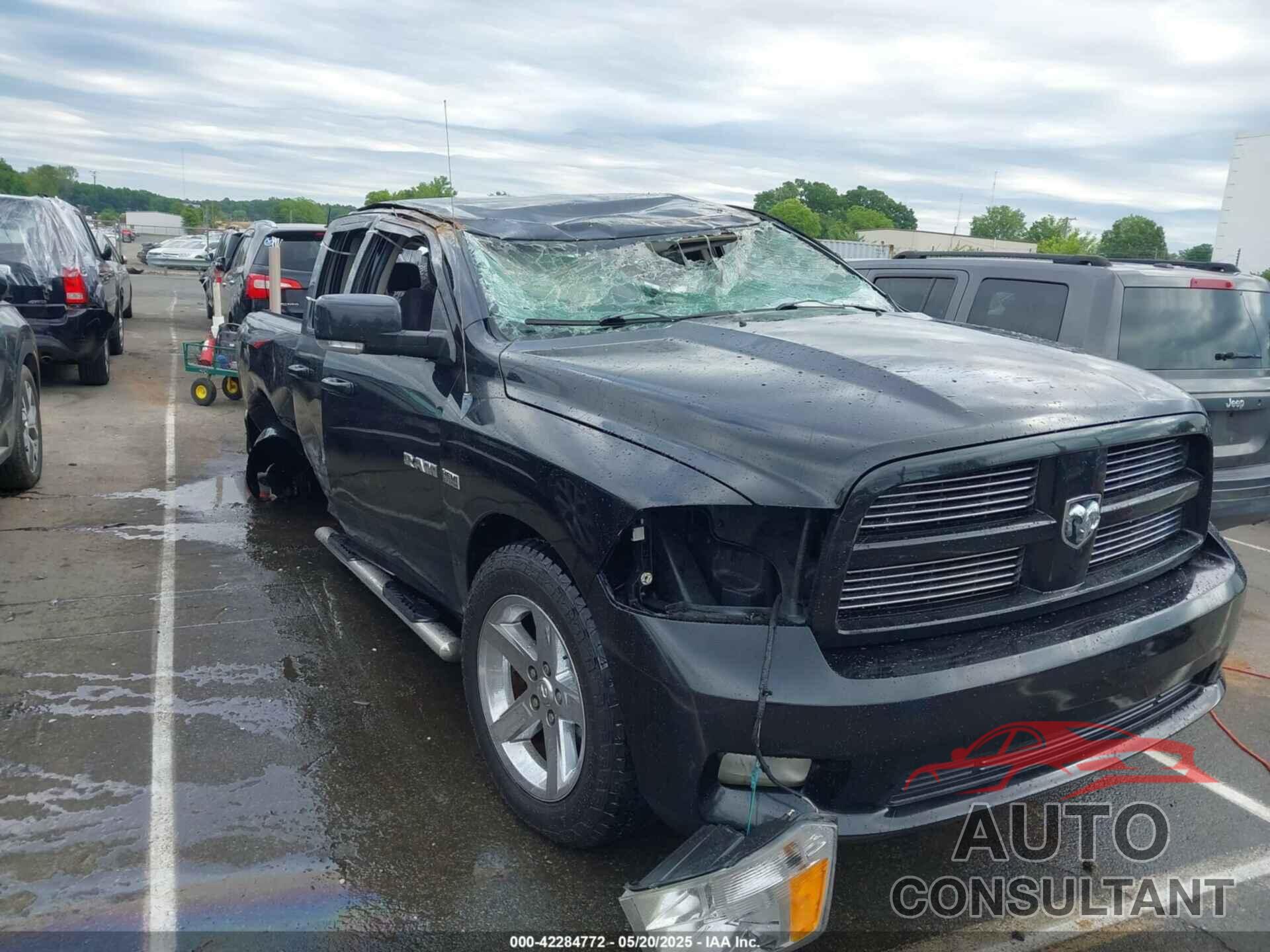 DODGE RAM 1500 2010 - 1D7RB1GT0AS202503