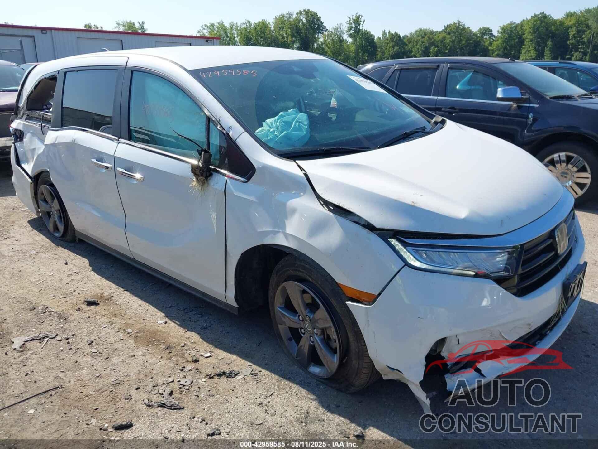 HONDA ODYSSEY 2024 - 5FNRL6H59RB022868