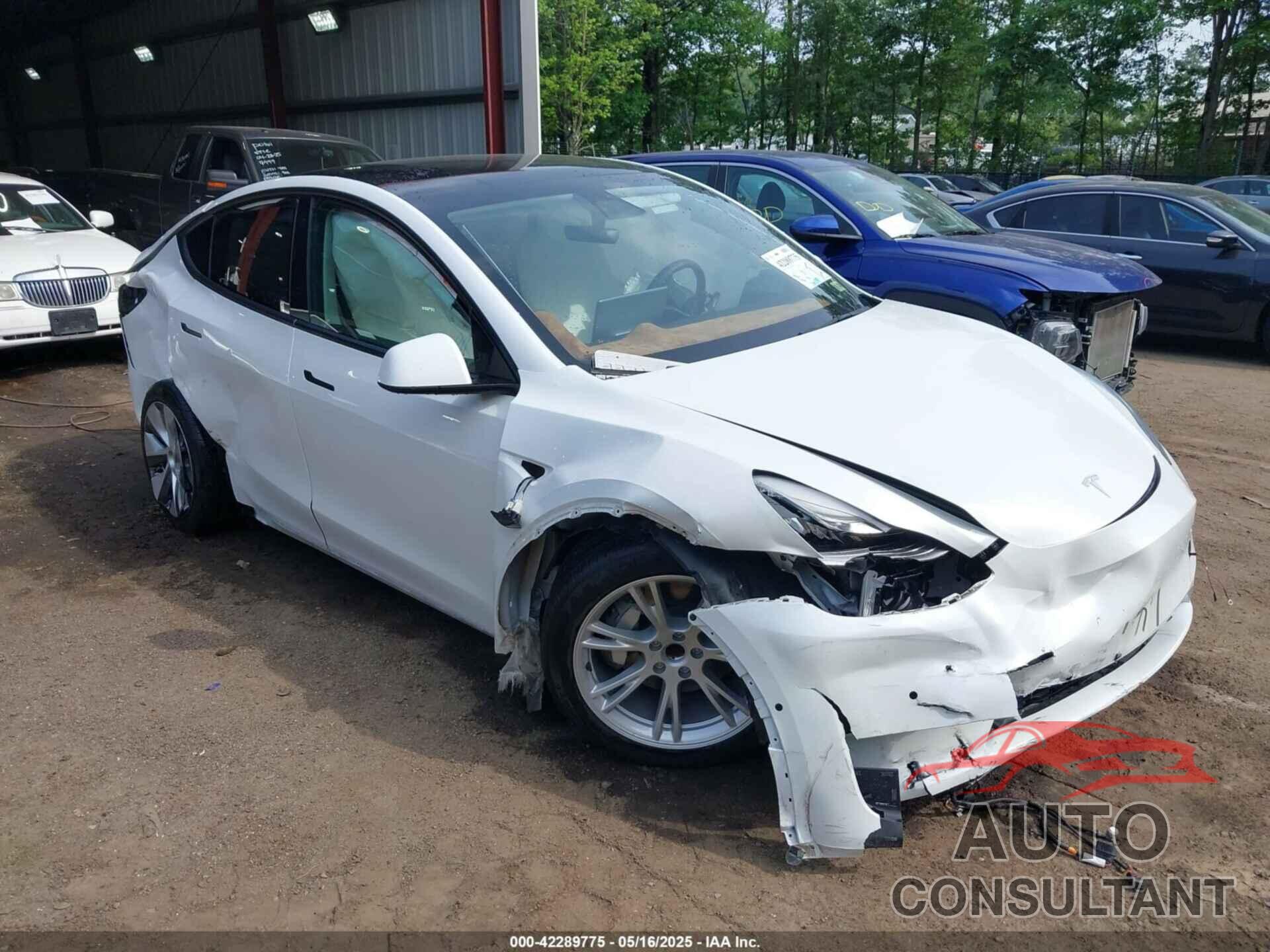 TESLA MODEL Y 2021 - 5YJYGAED8MF173496