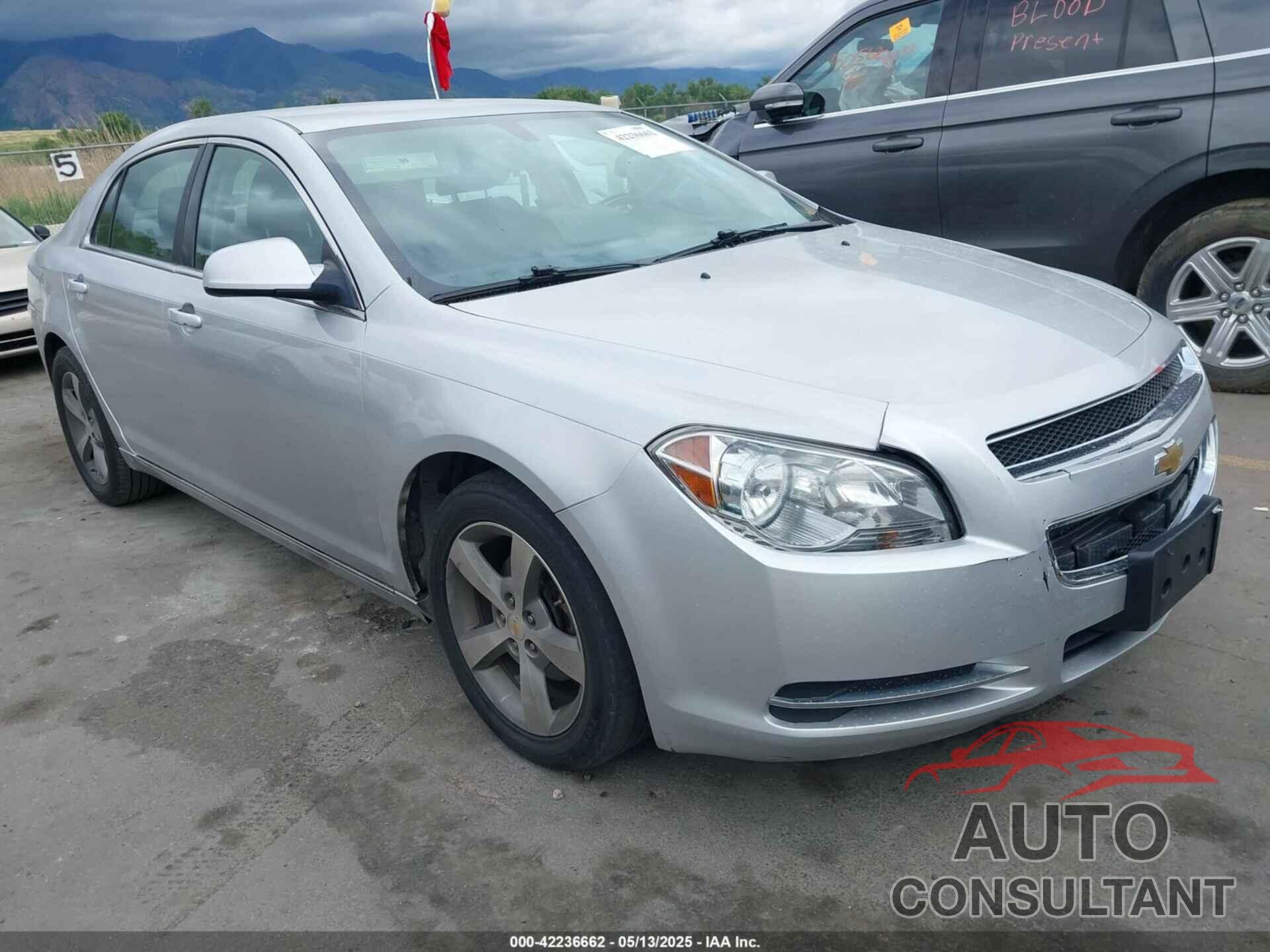 CHEVROLET MALIBU 2011 - 1G1ZC5E14BF350110