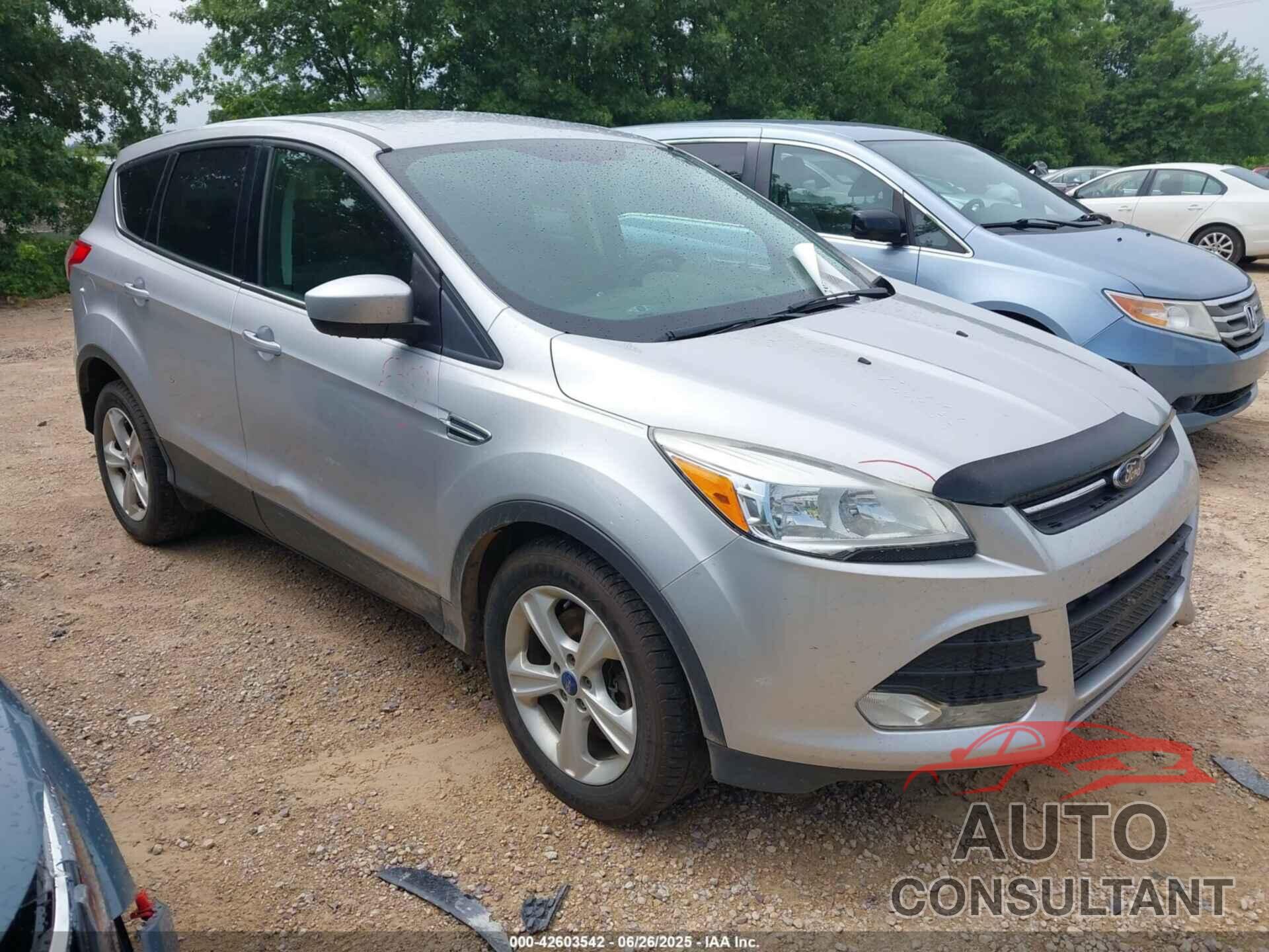 FORD ESCAPE 2014 - 1FMCU9GX9EUB15619