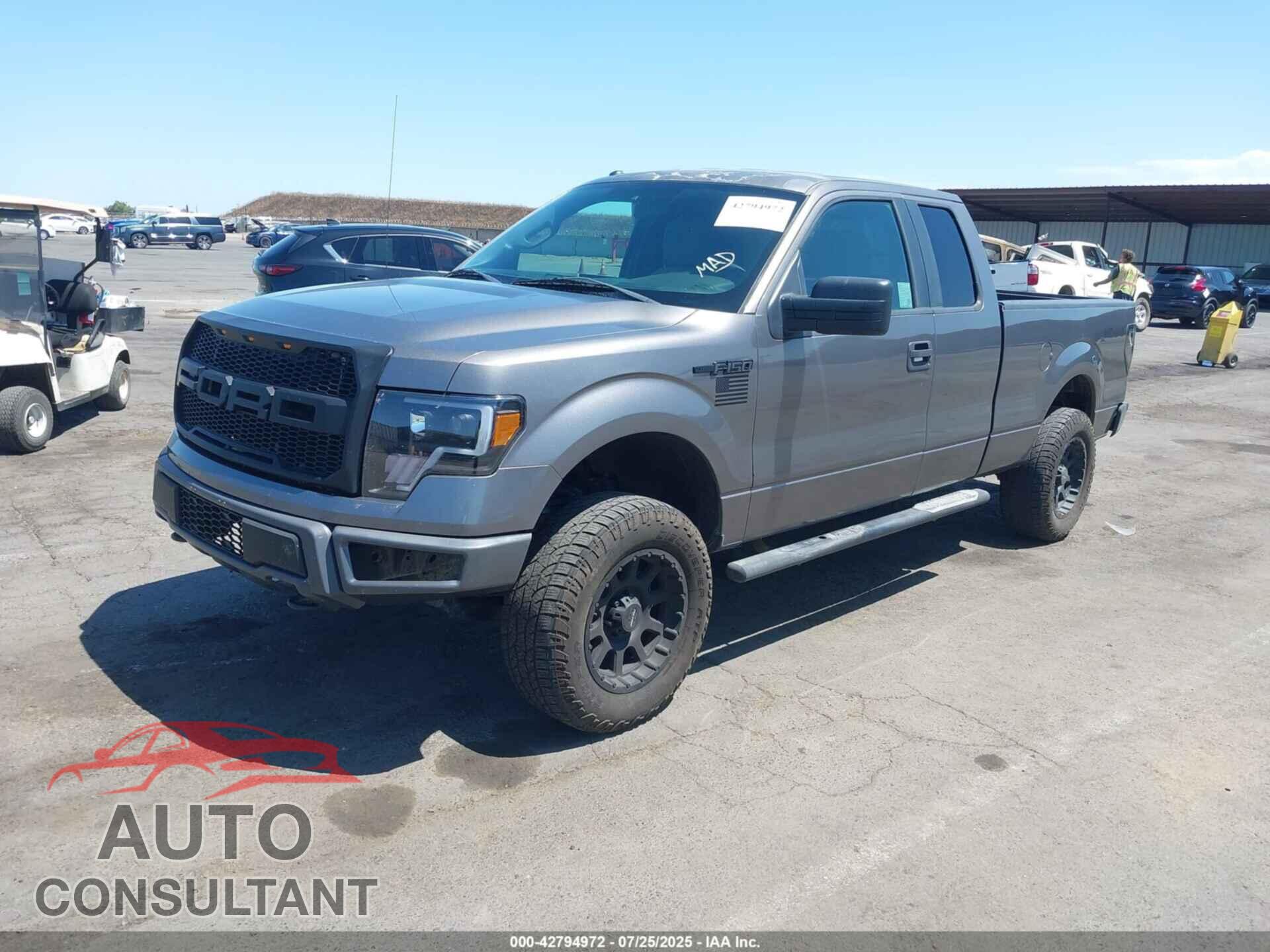 FORD F-150 2013 - 1FTFX1EF3DFD20859