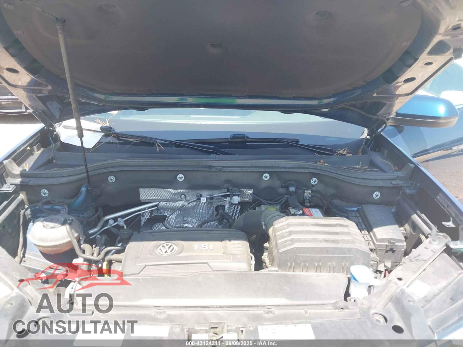 VOLKSWAGEN ATLAS 2019 - 1V2WP2CA5KC588564