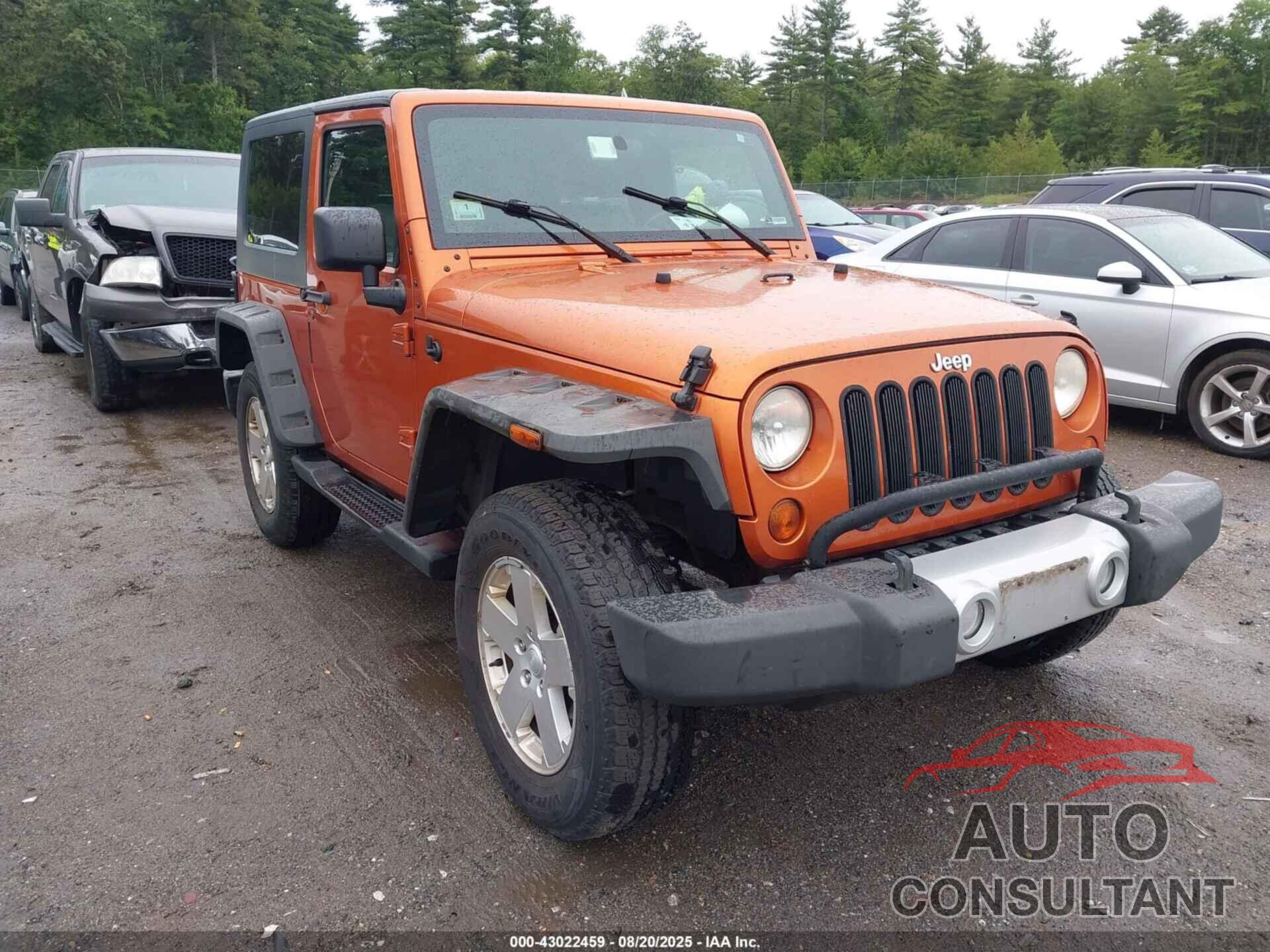 JEEP WRANGLER 2010 - 1J4AA5D1XAL220919
