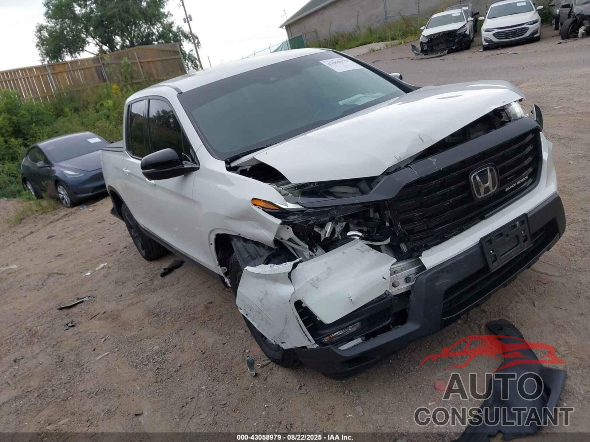 HONDA RIDGELINE 2023 - 5FPYK3F88PB049705