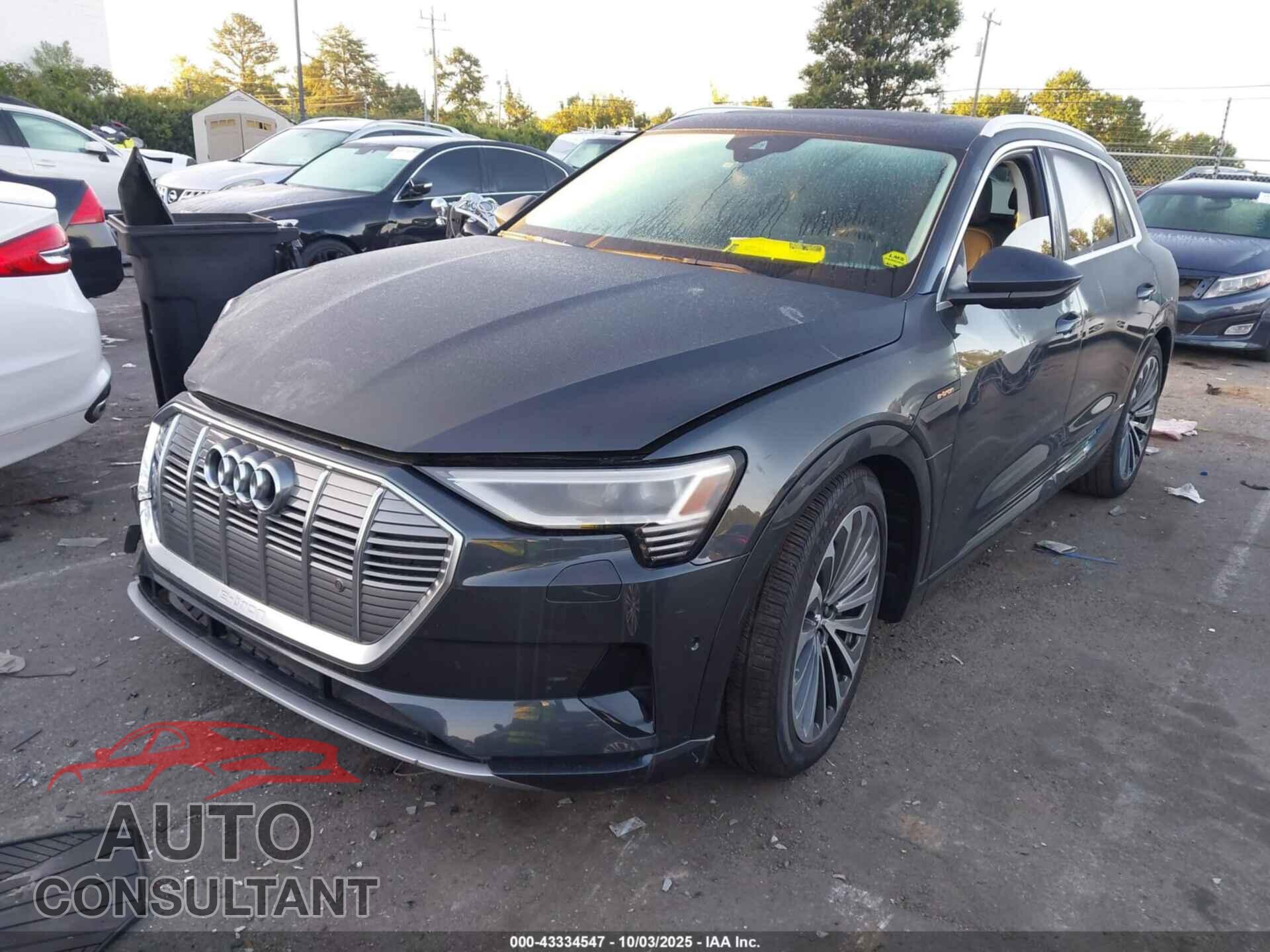 AUDI E-TRON 2019 - WA1VAAGE7KB024131